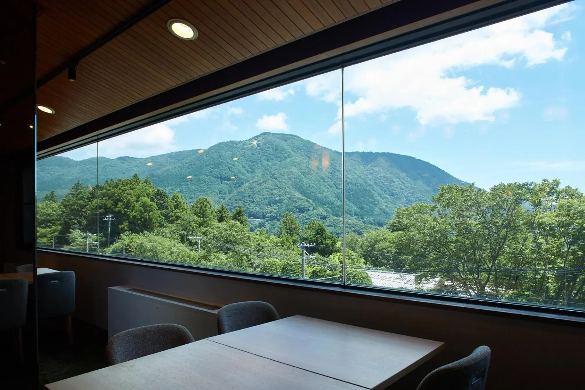 Mountain View in Hakone Yutowa