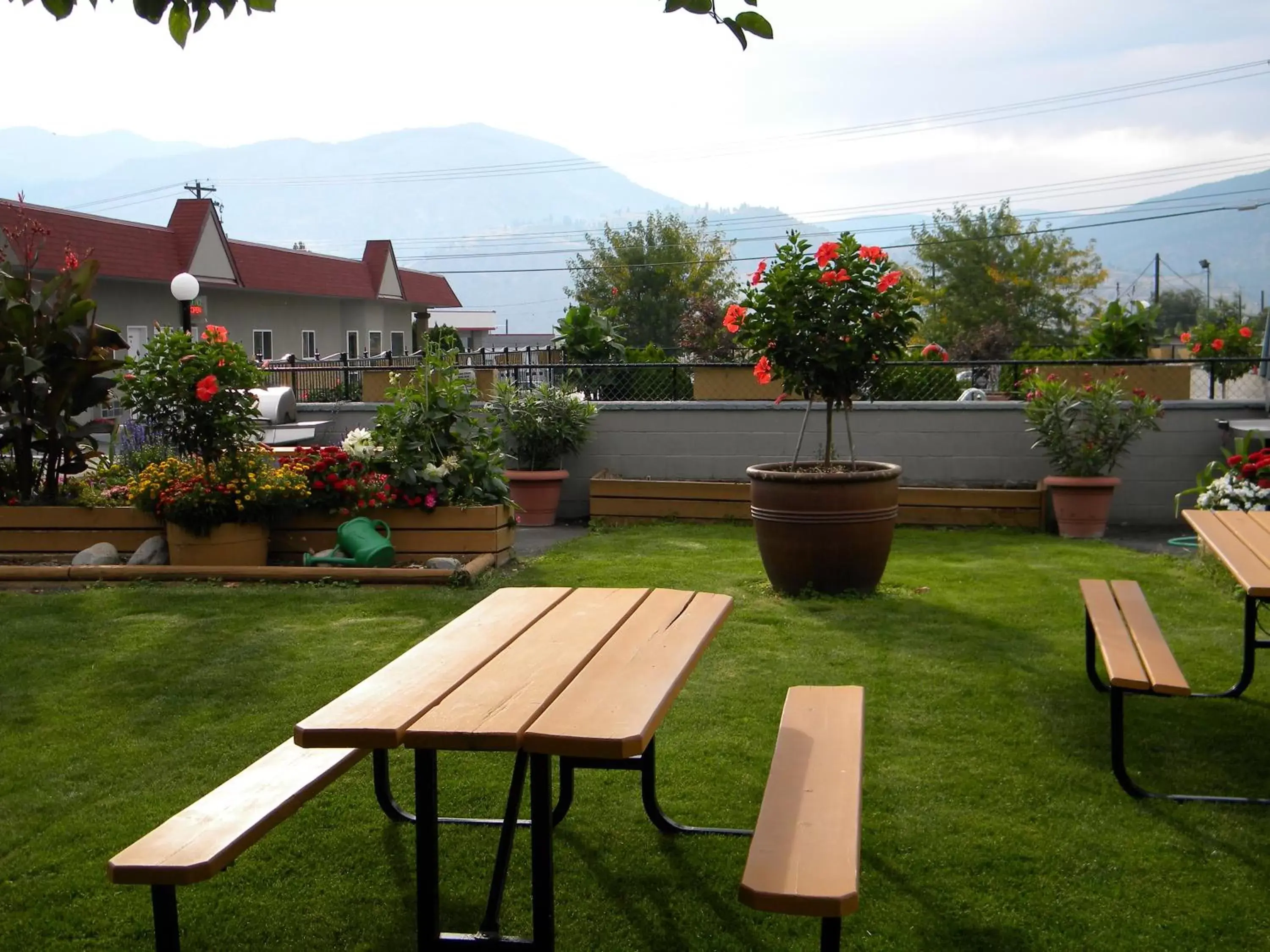 Garden in Apple Tree Inn