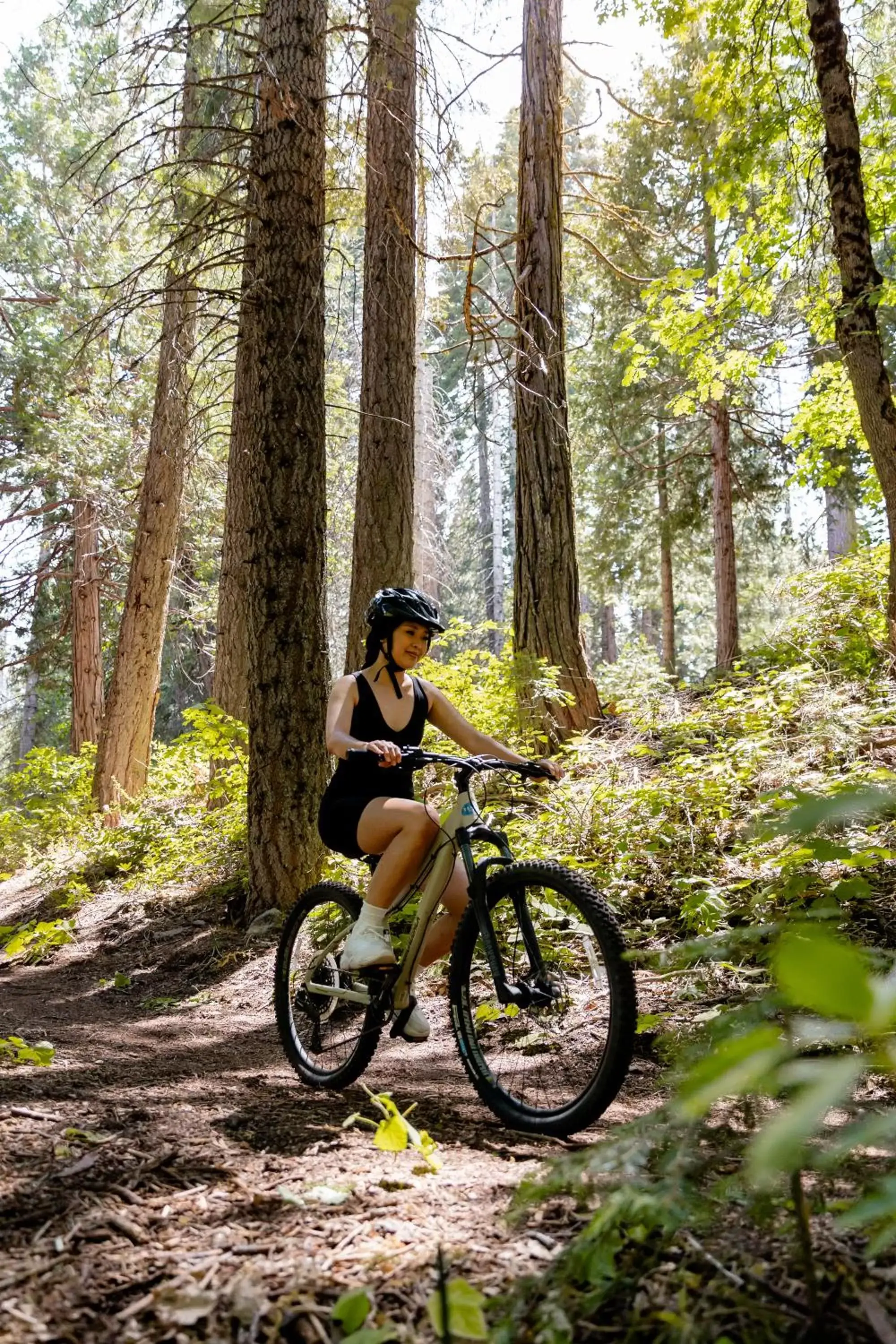 Activities, Biking in Tenaya at Yosemite