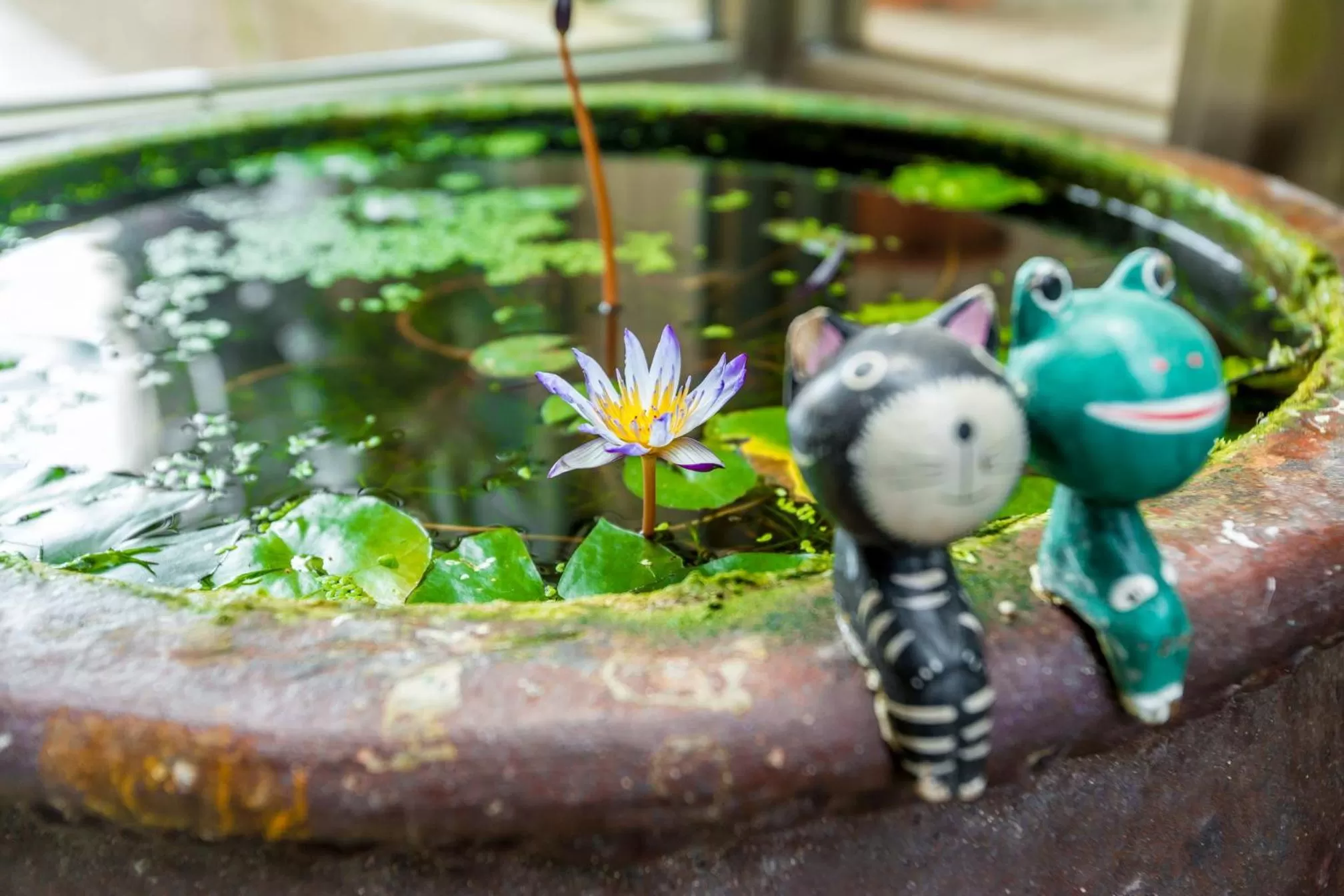 Garden in Beachcastle & Sea View Villa