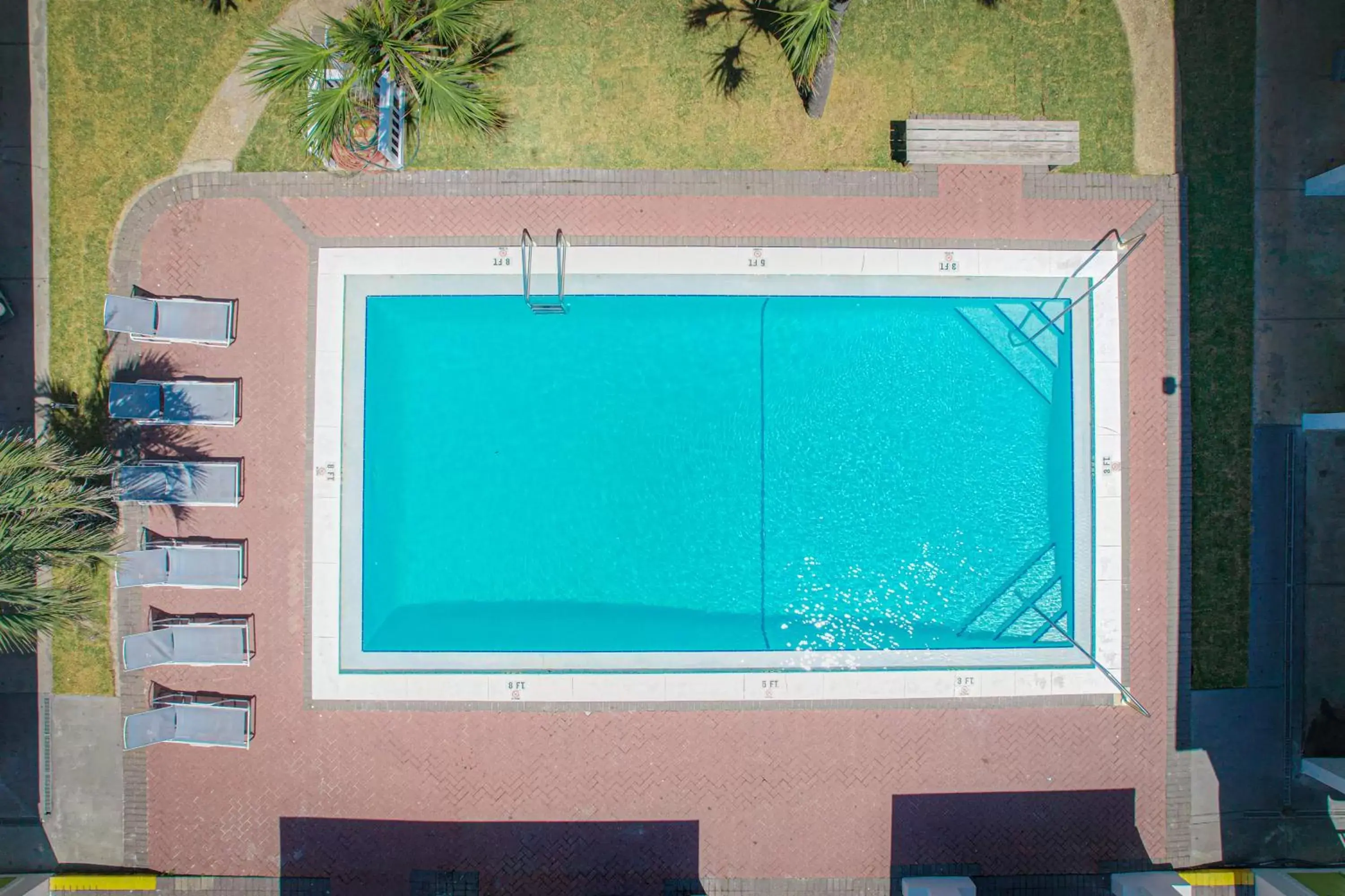 Swimming pool, Pool View in Flamingo Hotel & Tower