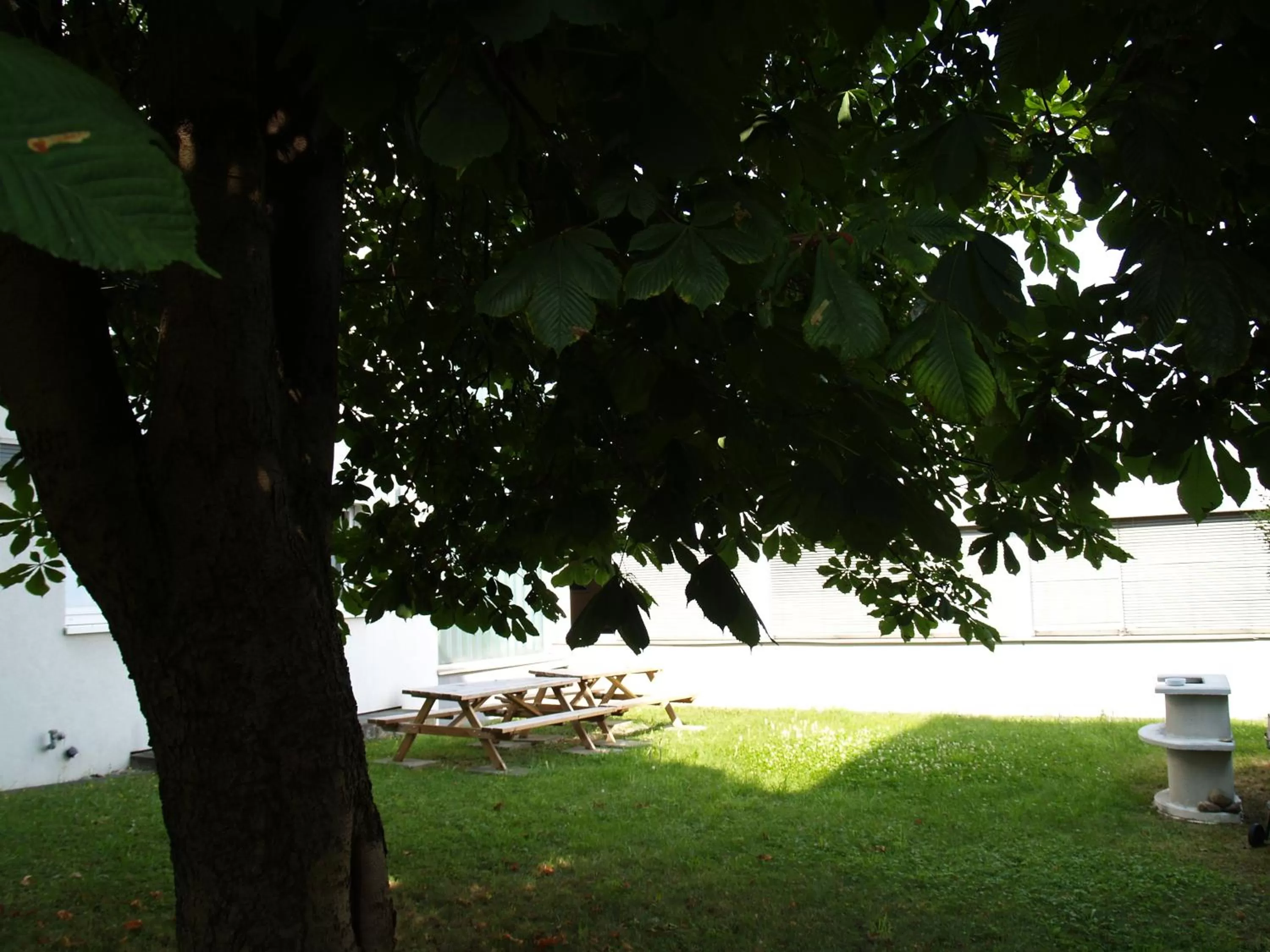 BBQ facilities in Boardingroom