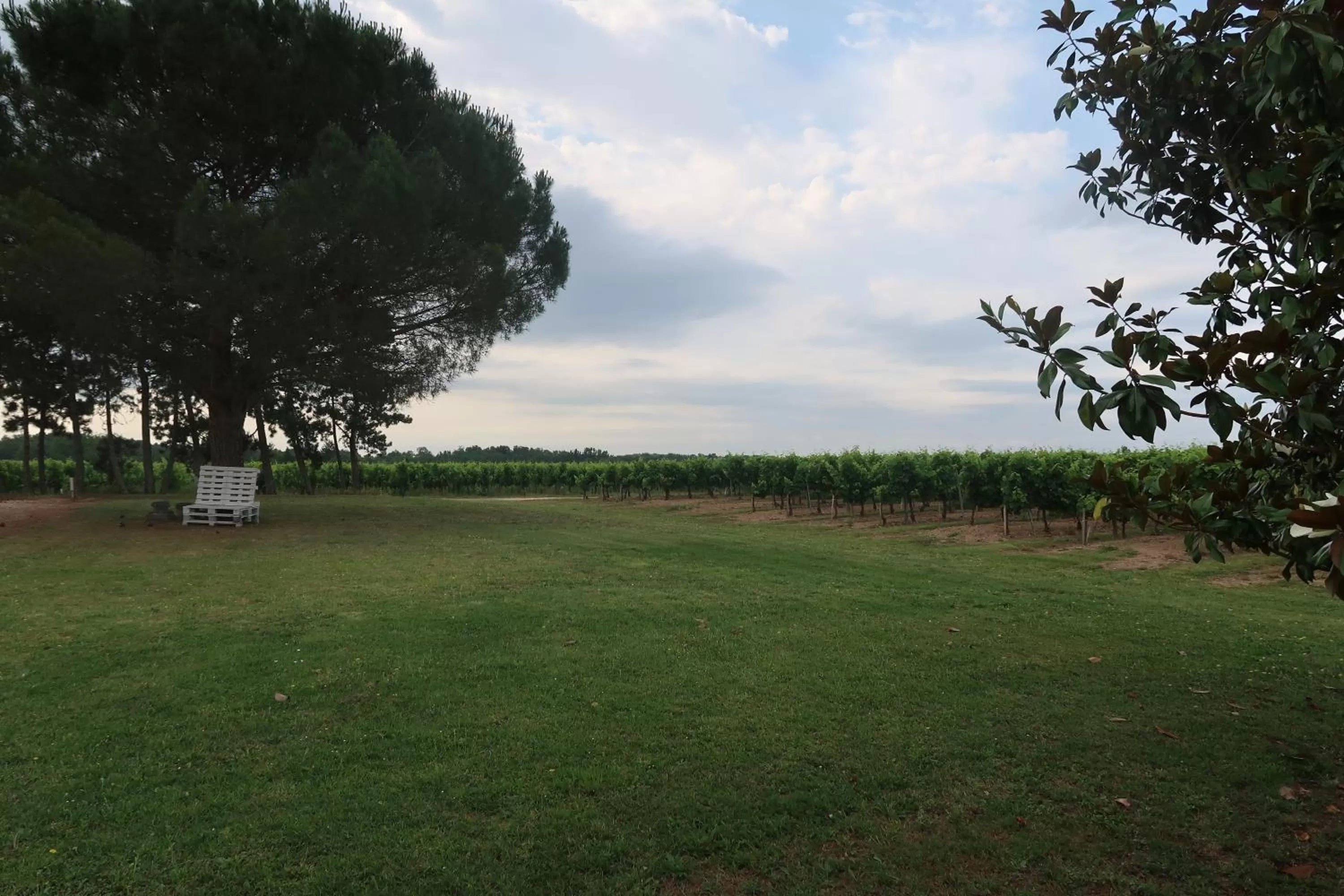 View (from property/room), Garden in l'Orangerie de La Pontête