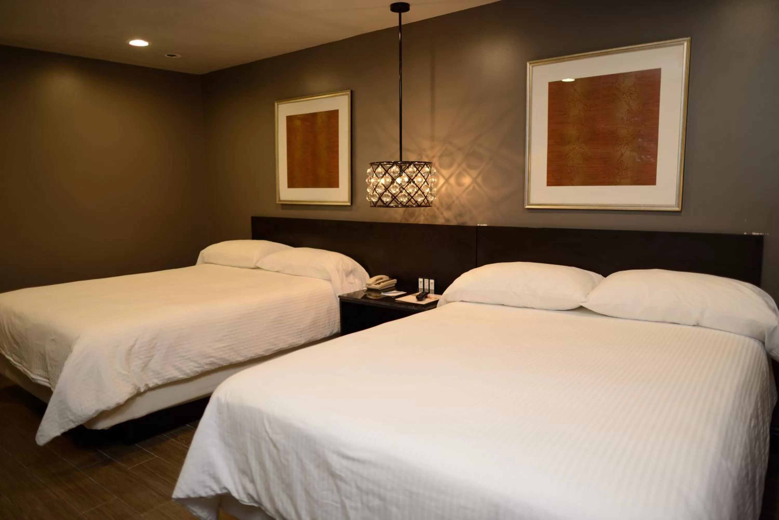 Photo of the whole room, Bed in Hotel Le Reve Pasadena