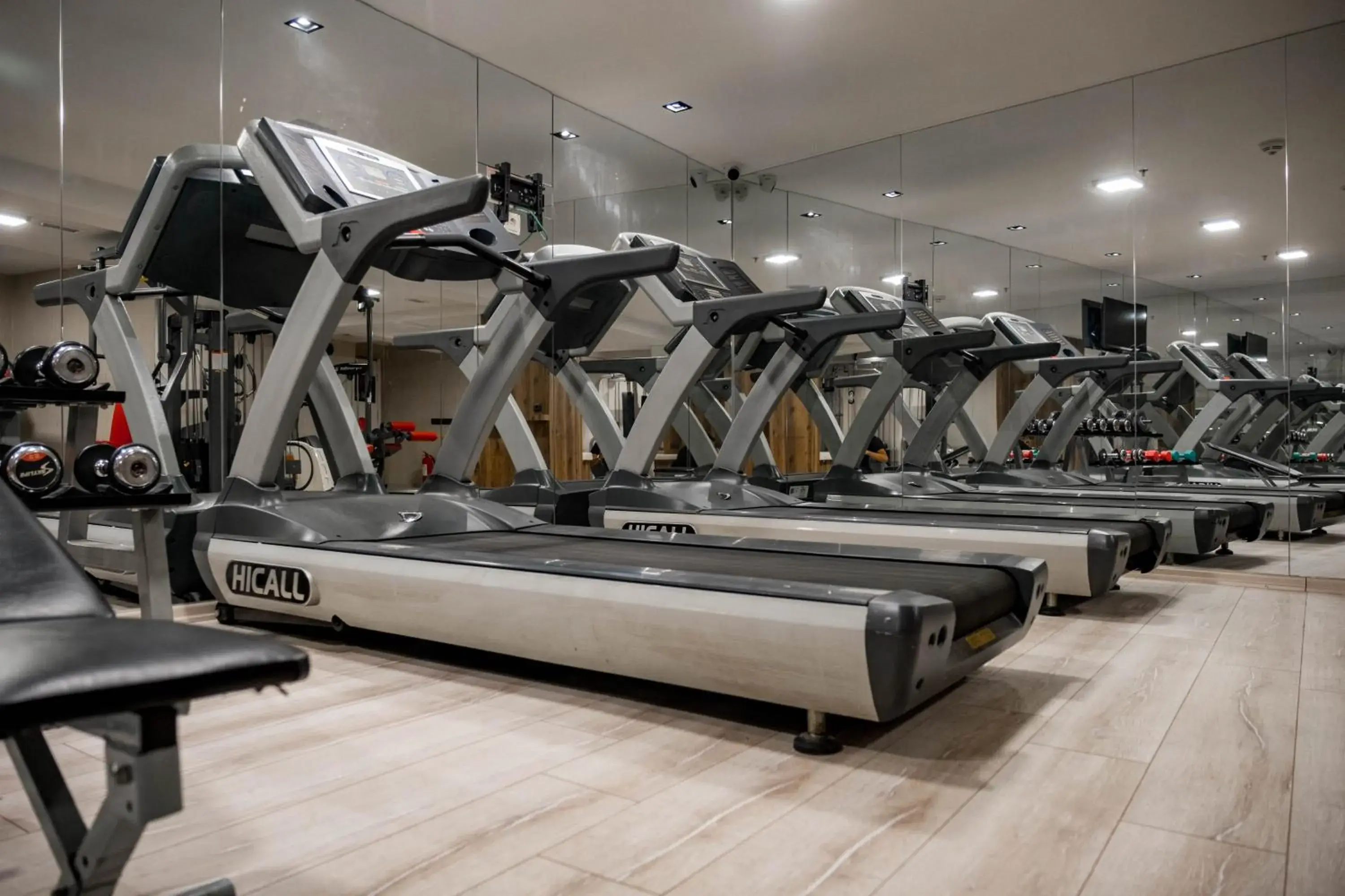 Fitness centre/facilities, Fitness Center/Facilities in Selcuk Hotel Sems-i Tebrizi