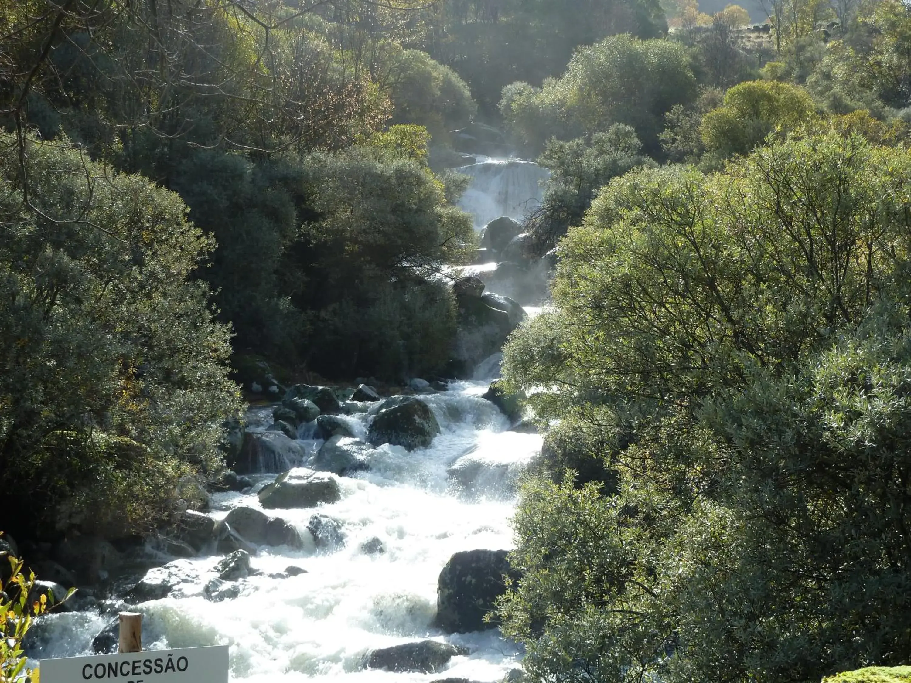 Natural landscape in Hotel Eurosol Seia Camelo