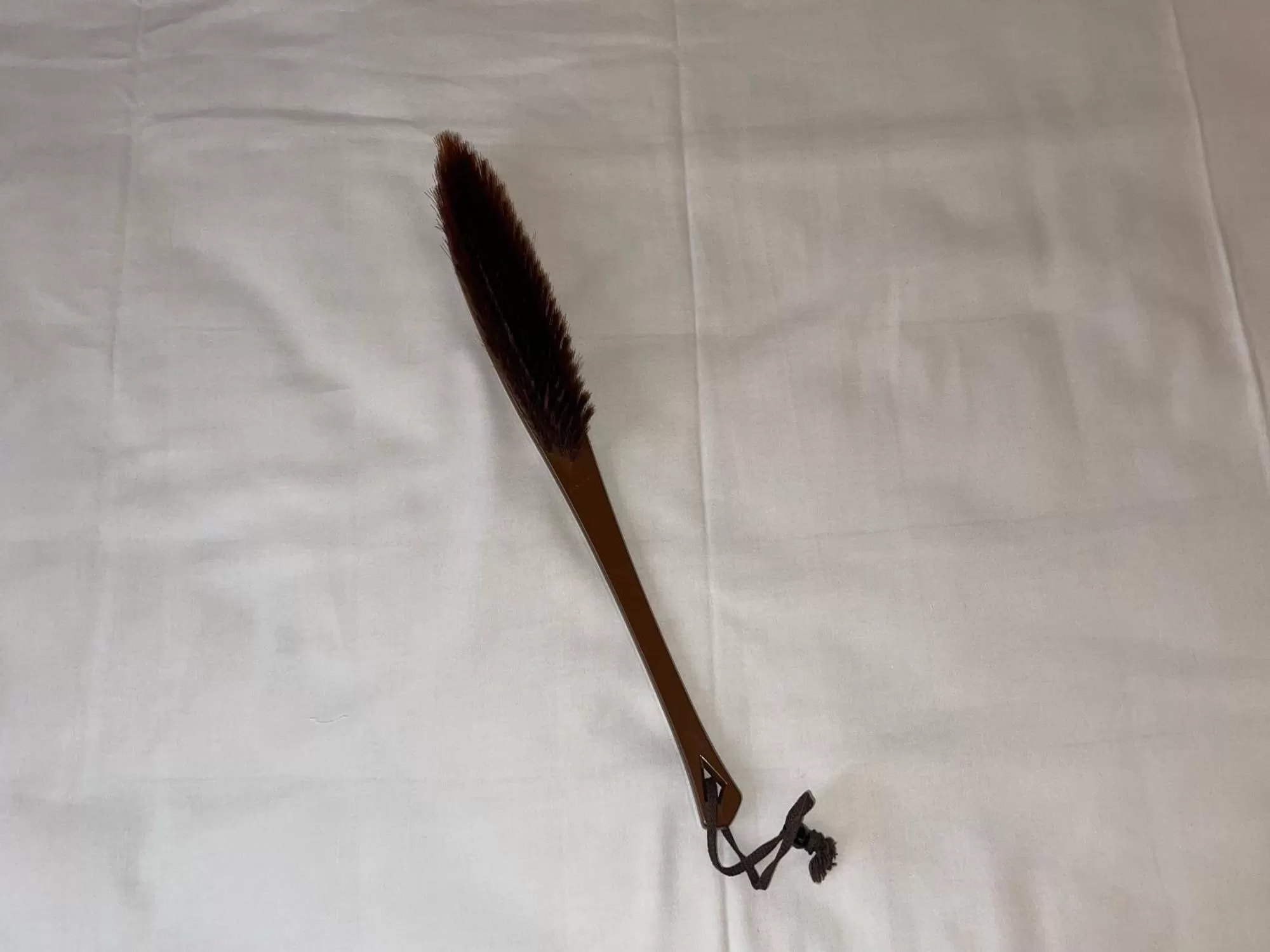 Area and facilities in Oita Regal Hotel