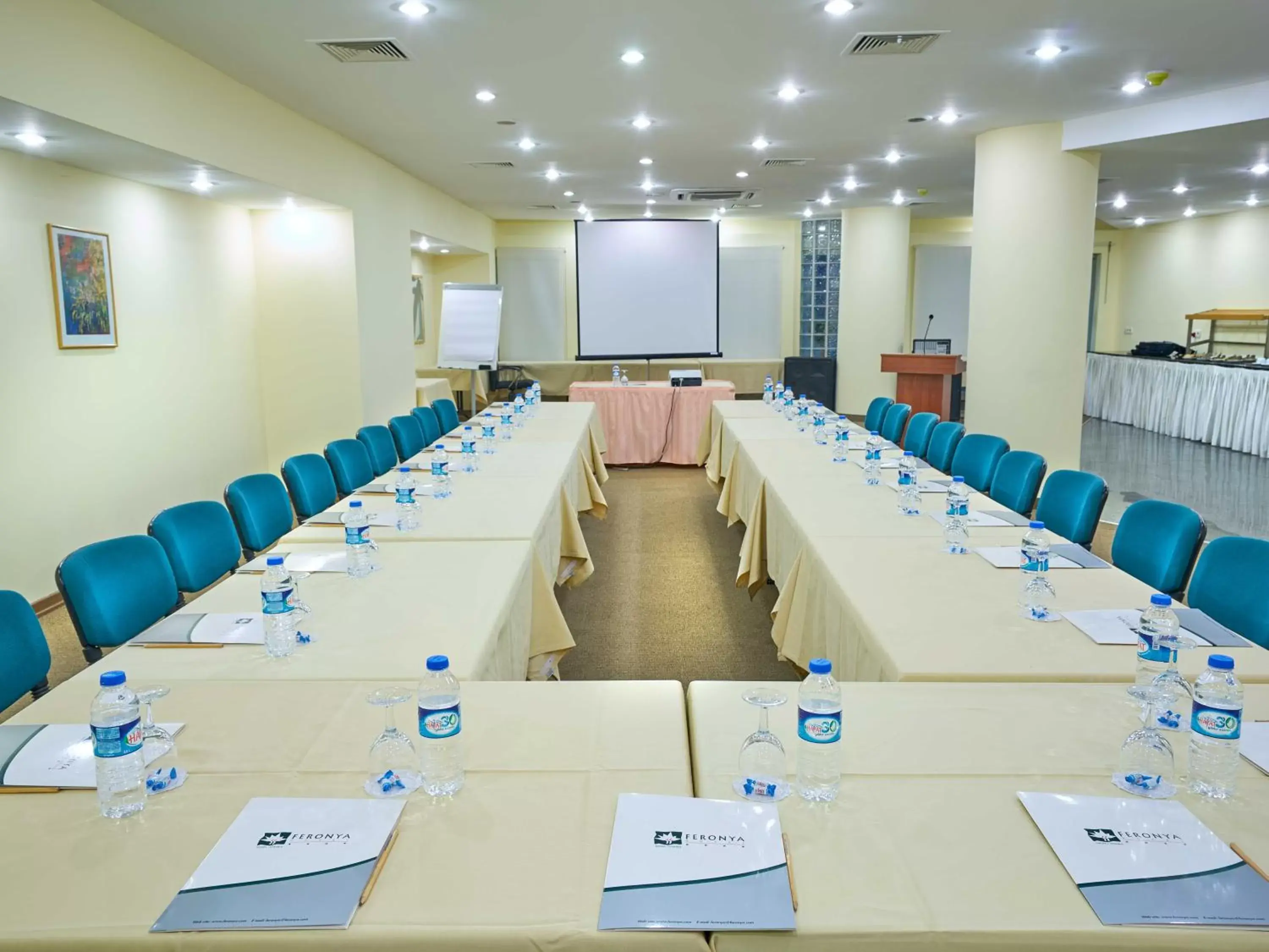 Meeting/conference room in Feronya Hotel