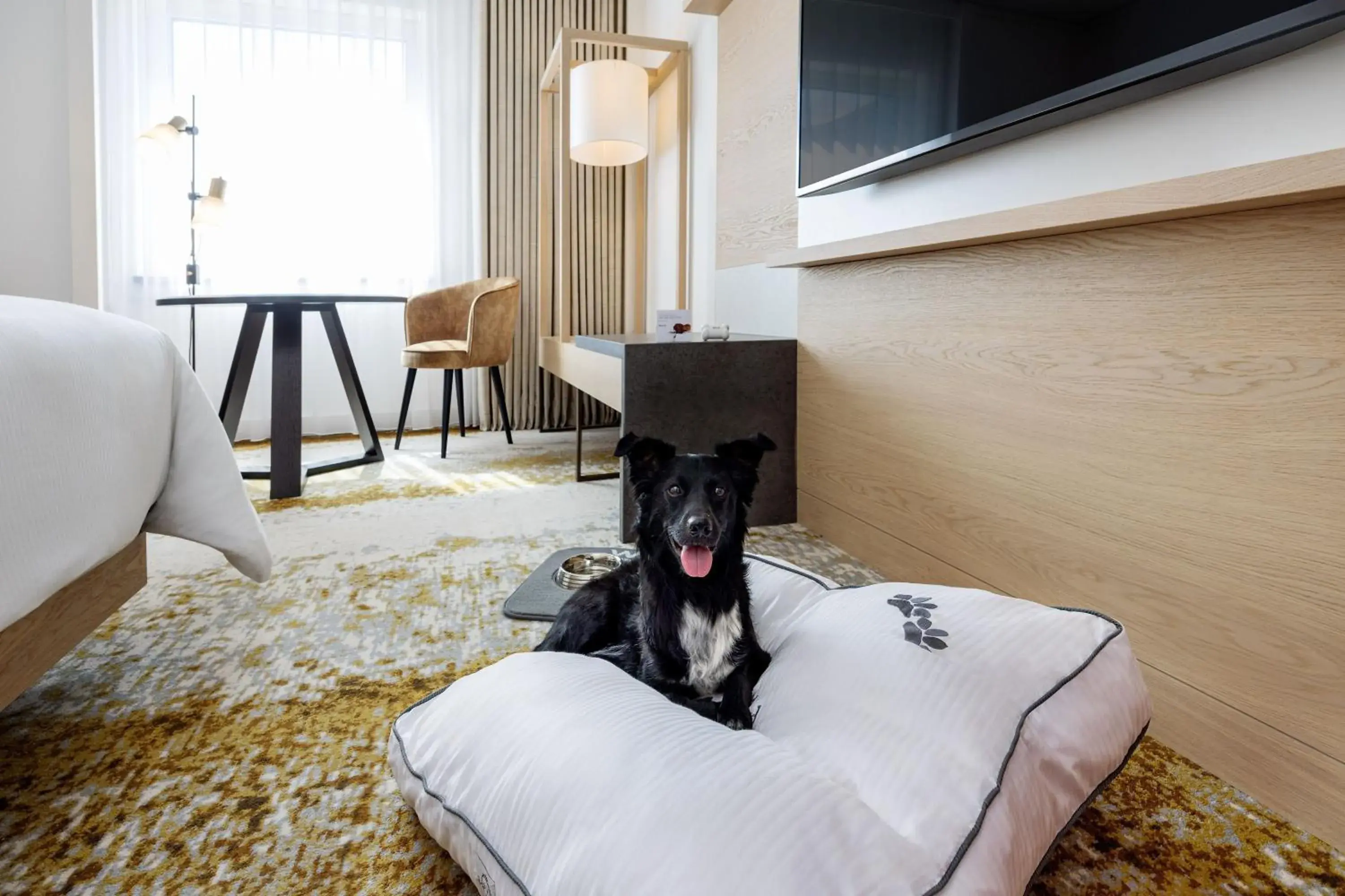 Photo of the whole room, Pets in The Westin Grand Frankfurt