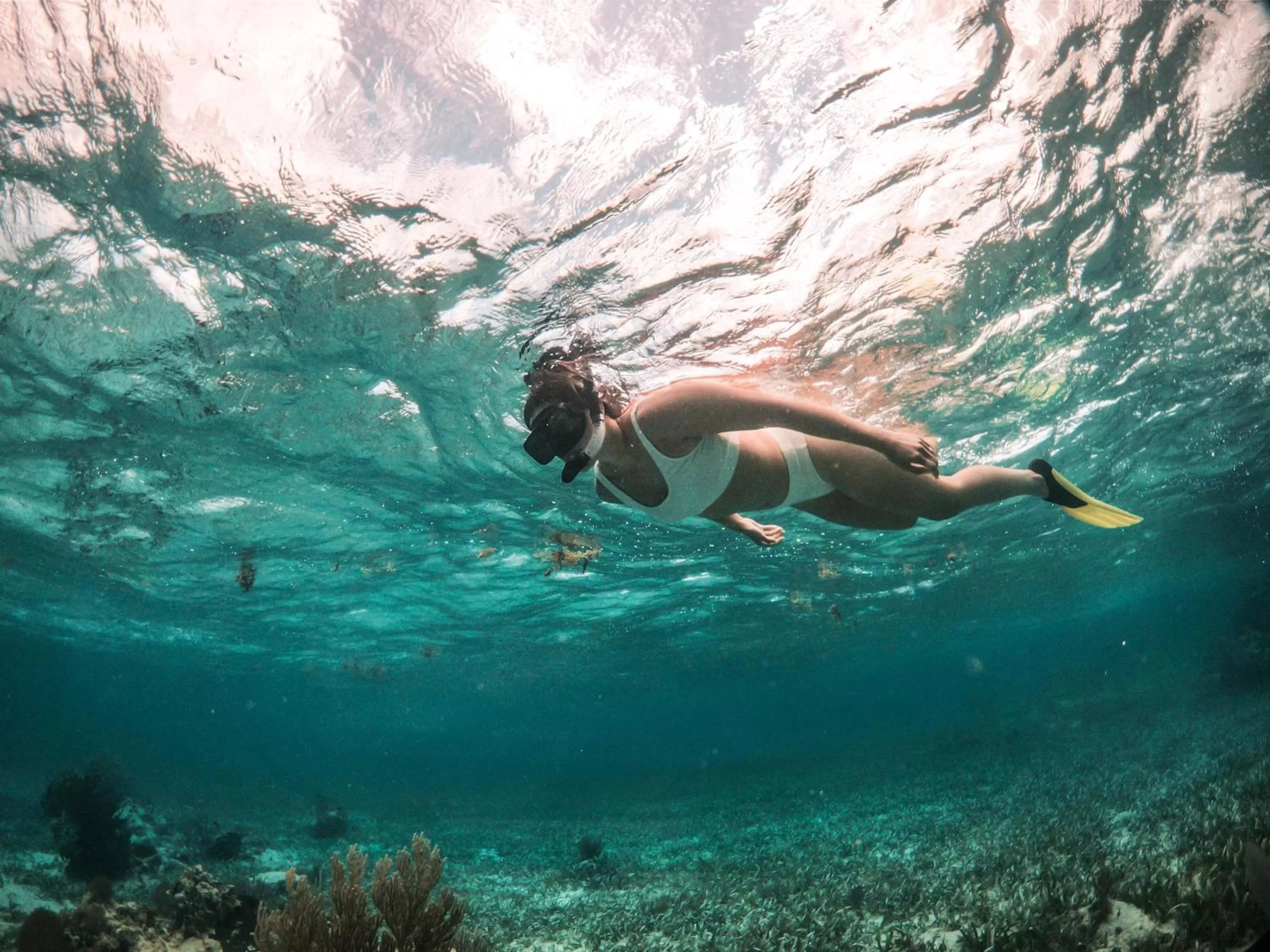 Snorkeling in Portofino Beach Resort-An Authentic Island Escape!