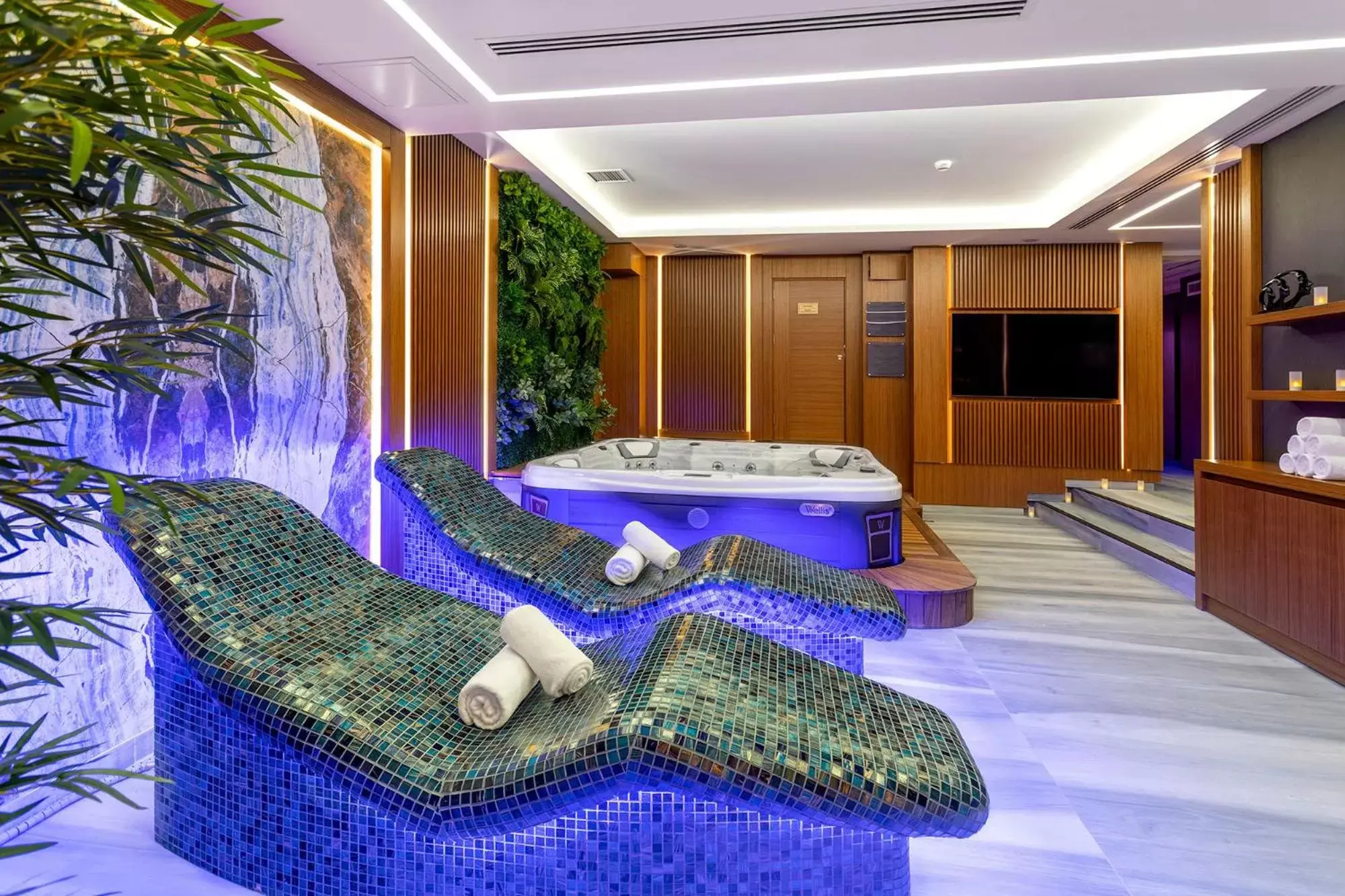 Hot Spring Bath, Swimming Pool in Vital Hotel Fulya Istanbul Sisli