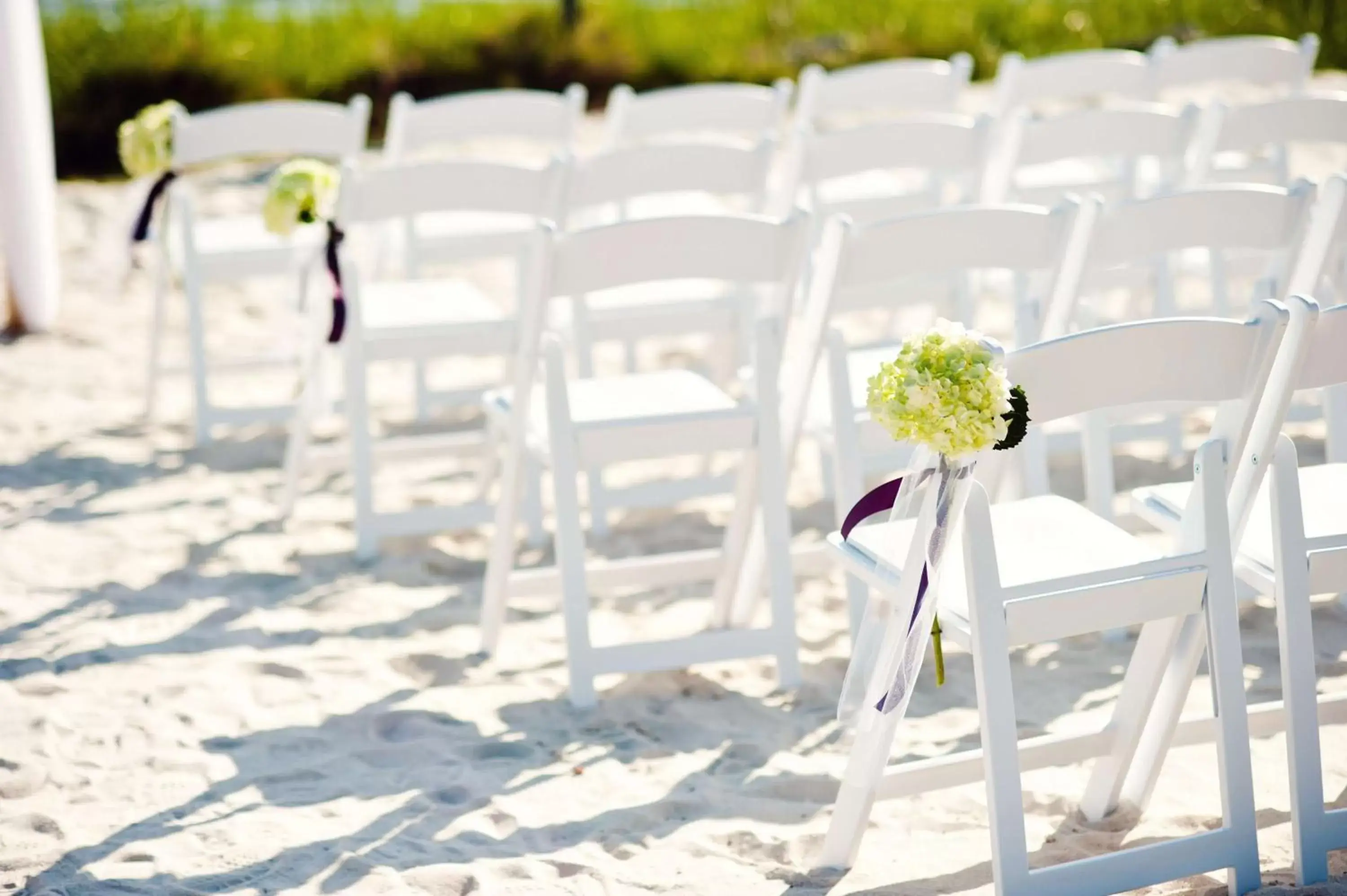 Beach, Banquet Facilities in Grand Hyatt Tampa Bay