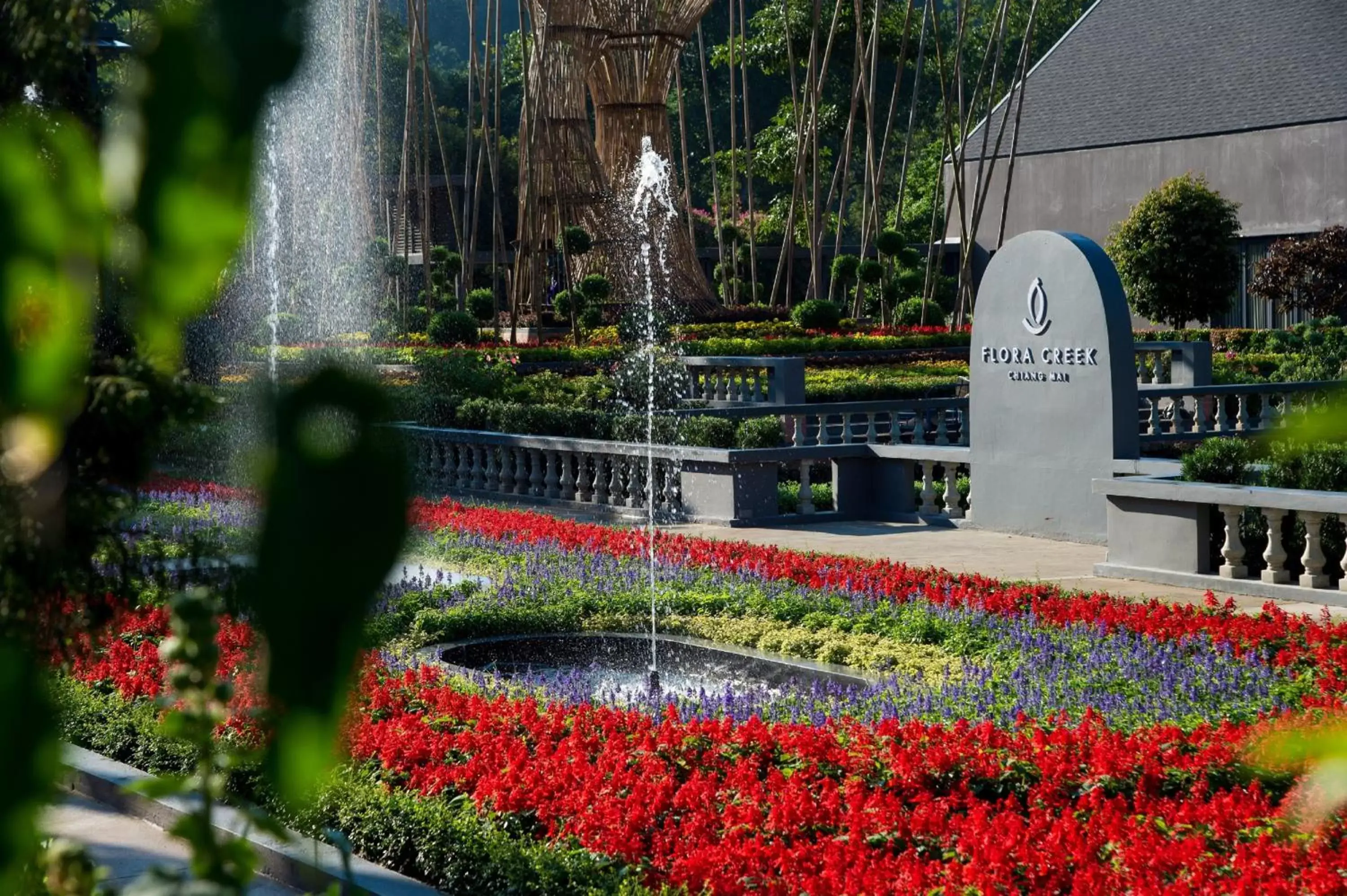 Day in Flora Creek Chiang Mai