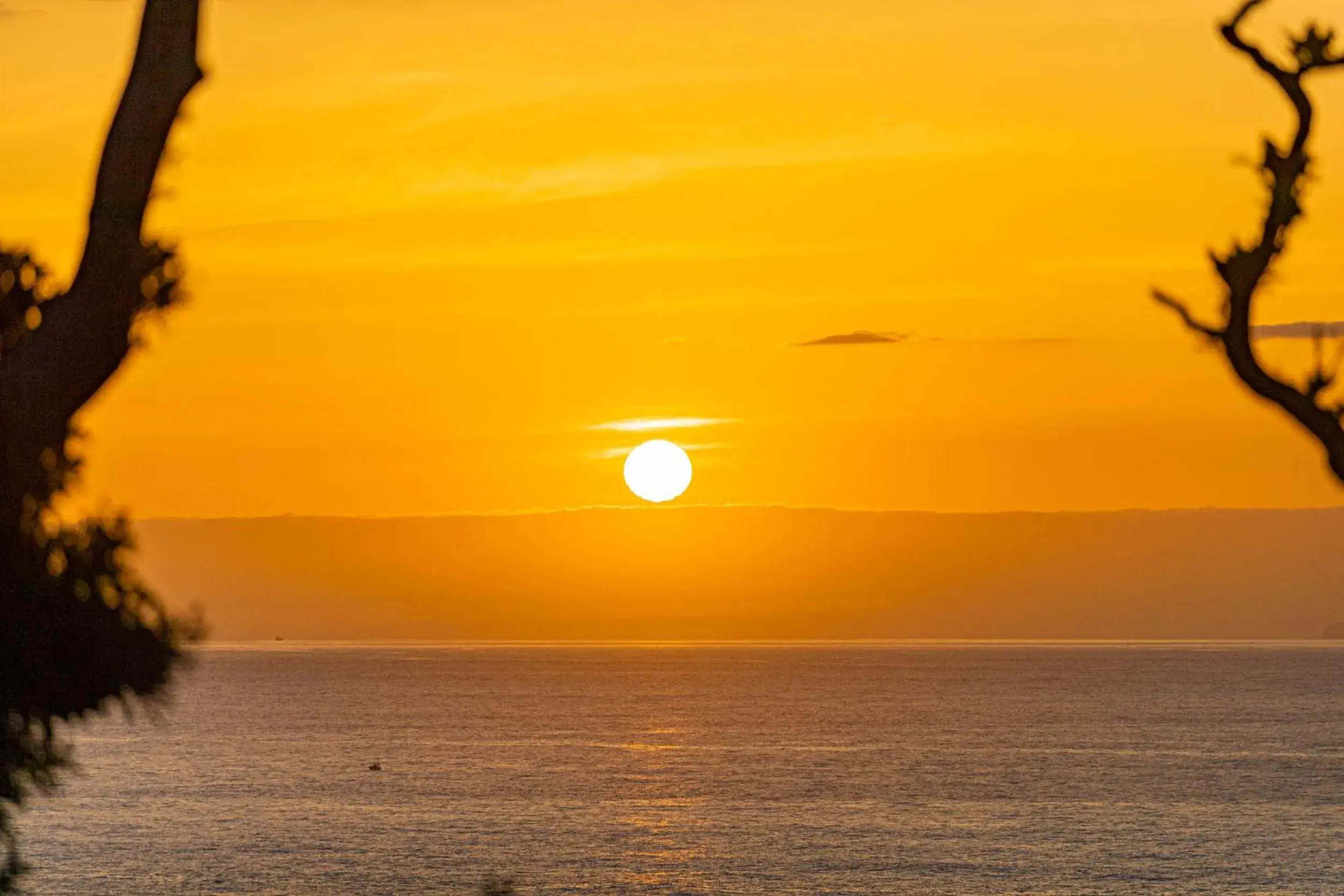 Gardenvilla Shirahama Gardenvilla Shirahama