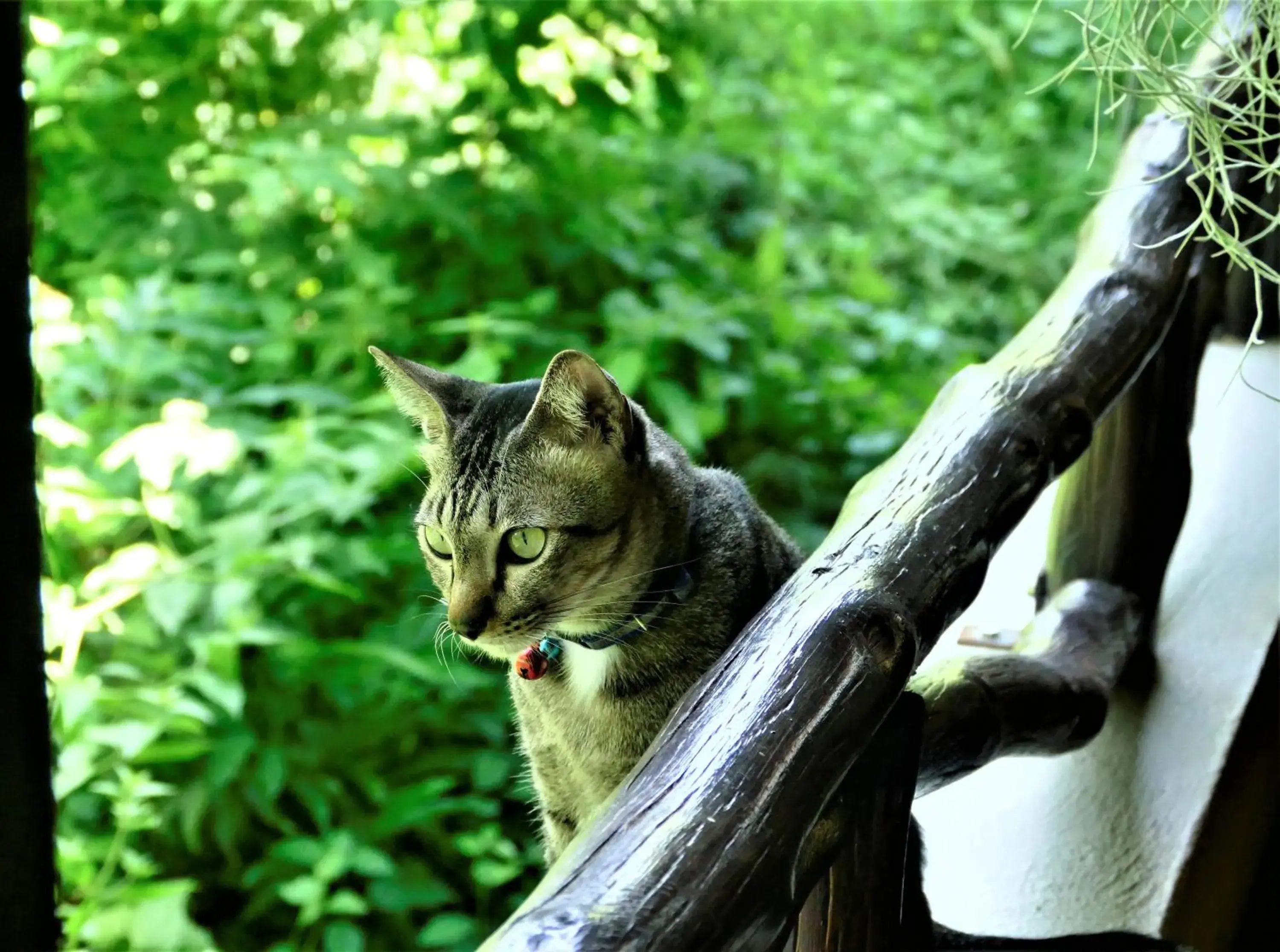 Property building in Baan Sukreep Resort Property building in Baan Sukreep Resort