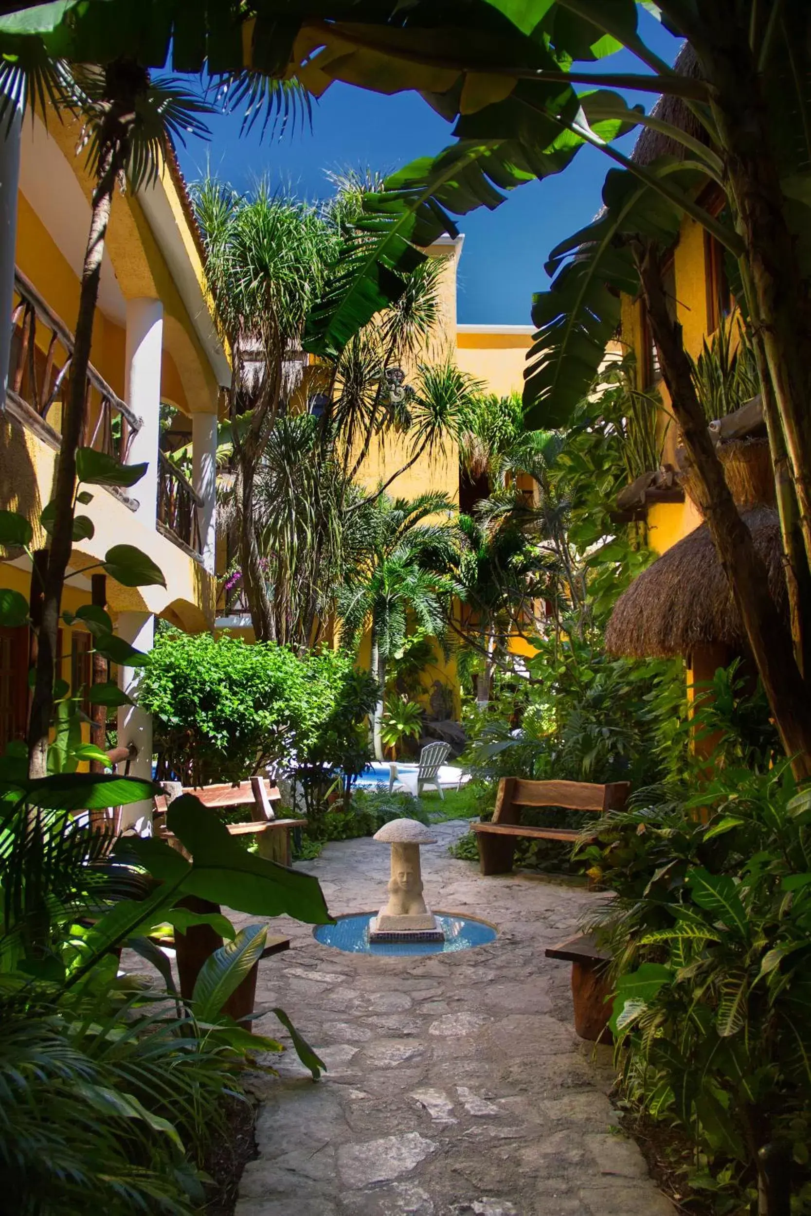 Garden view, Garden in Hotel Bosque Caribe, 5th Av. zone