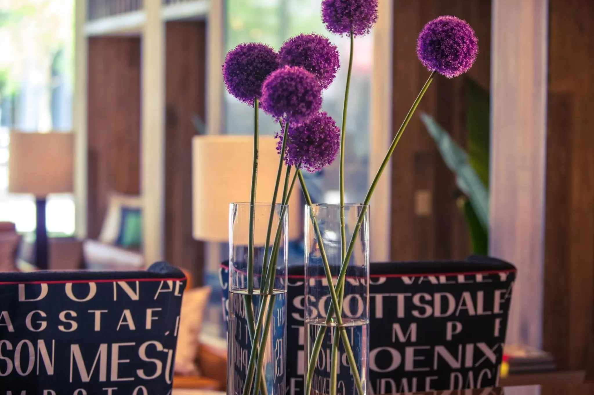 Other in Kimpton Hotel Palomar Phoenix Cityscape by IHG