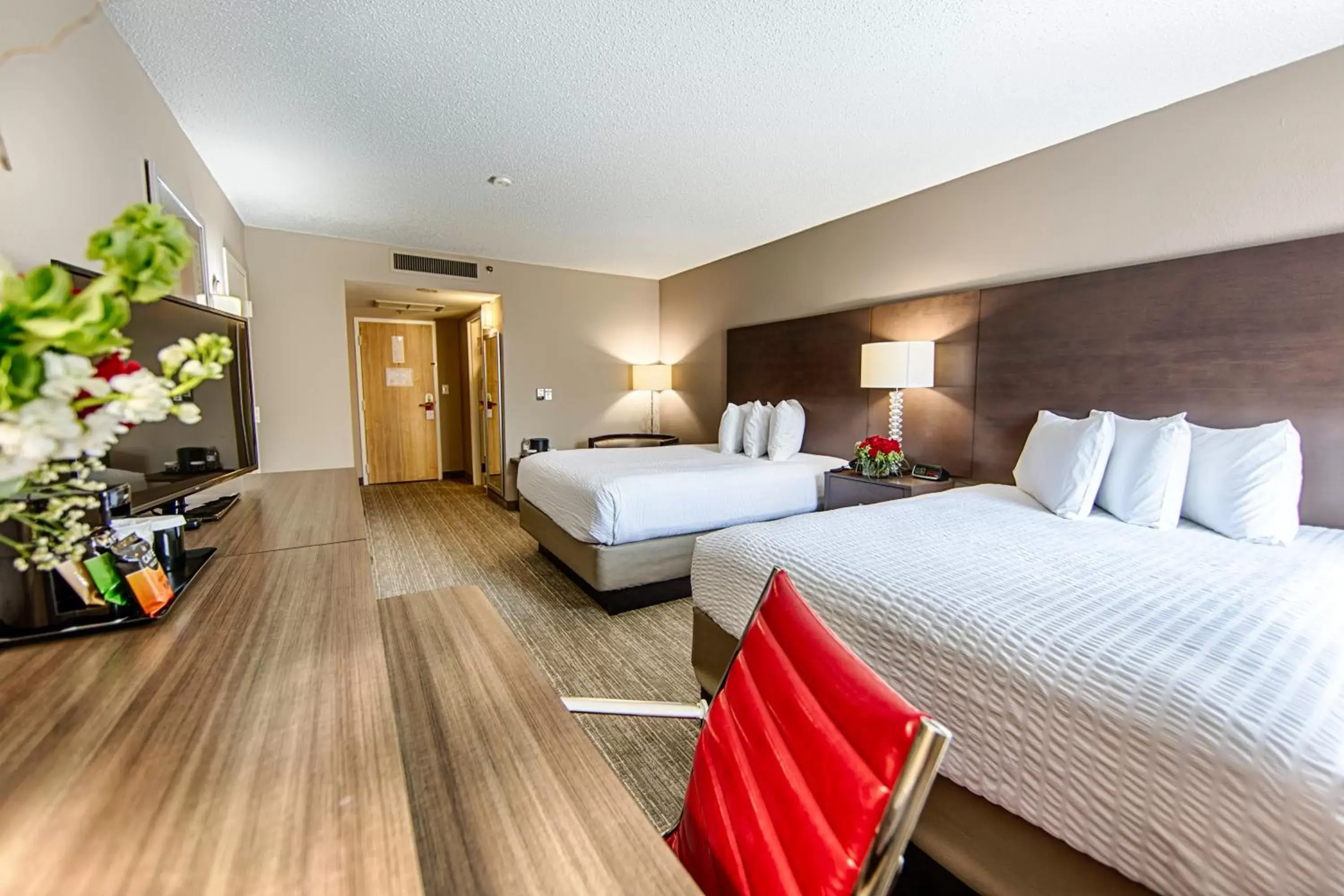 Traditional Queen Room with Two Queen Beds in Hotel Capstone Traditional Queen Room with Two Queen Beds in Hotel Capstone