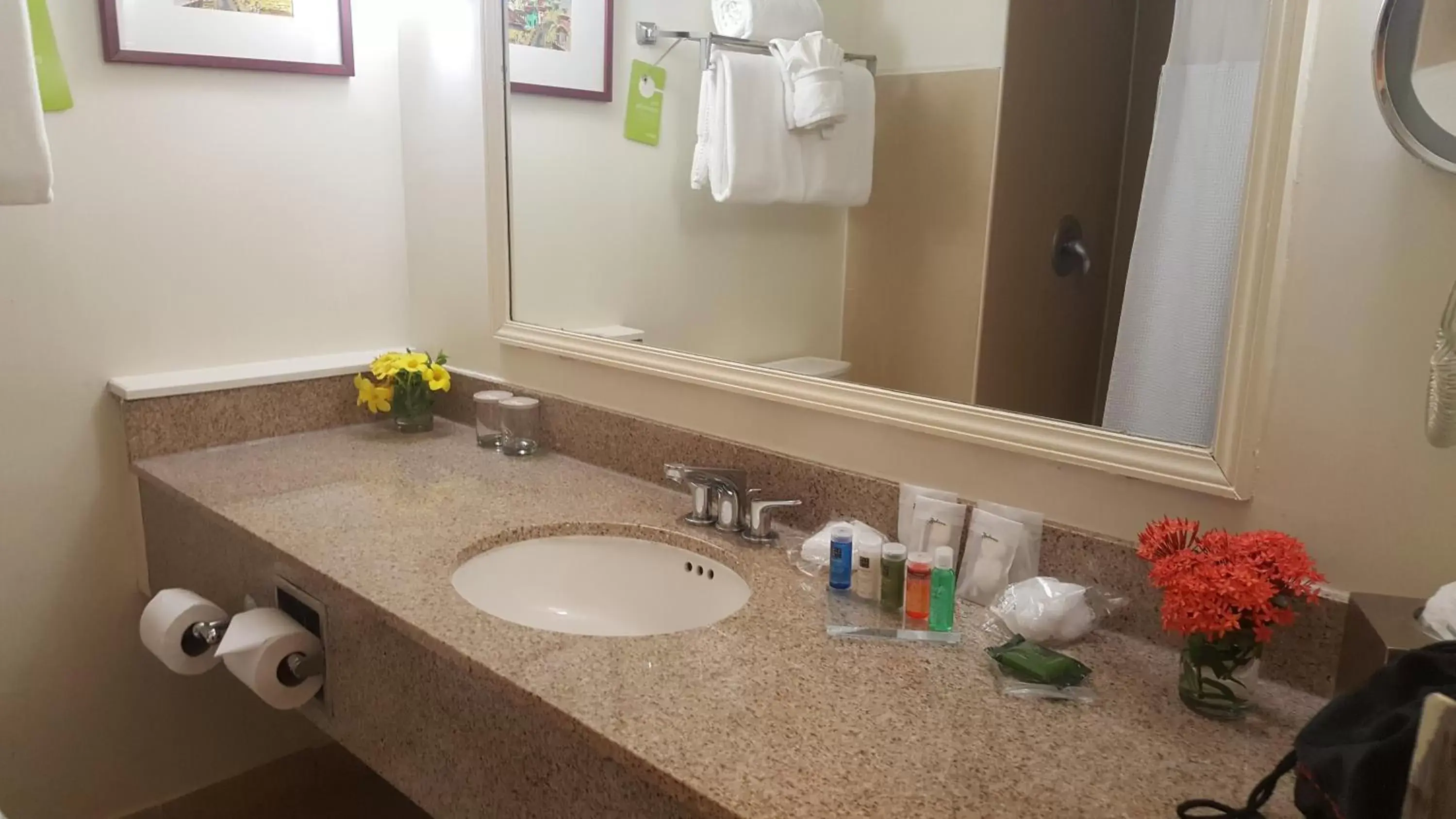 Bathroom in Radisson Hotel Trinidad