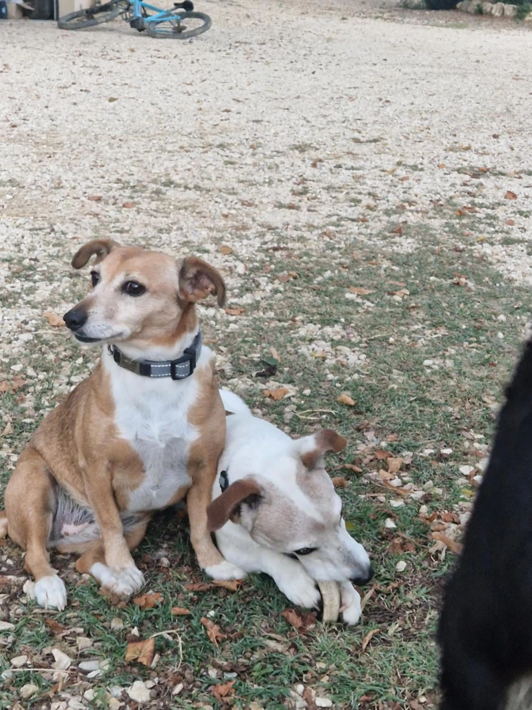 Bastide Bellugue Maison d'hôtes réseau Bienvenue à La Ferme à 3 minutes de Lourmarin