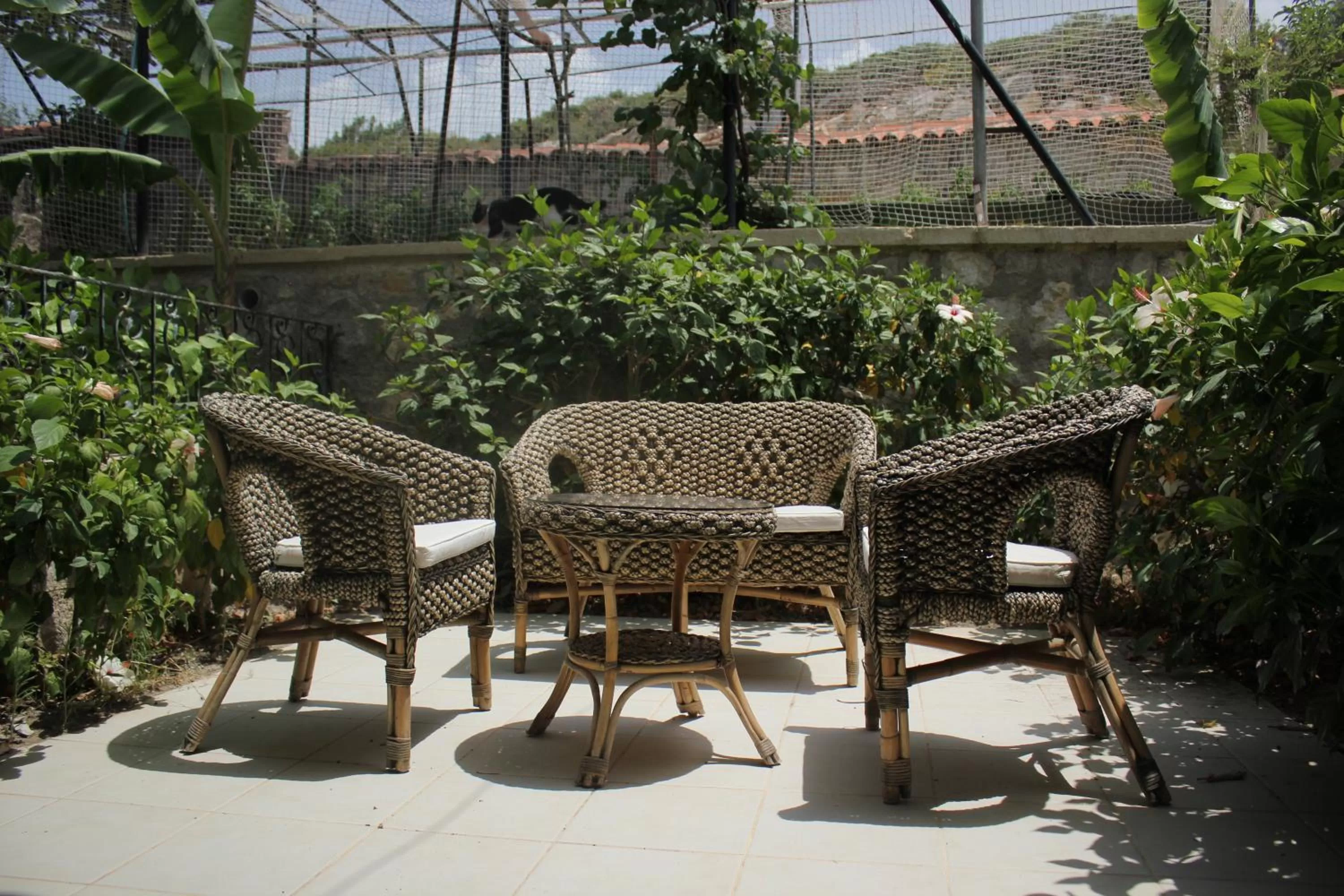 Patio in Dolina Hotel