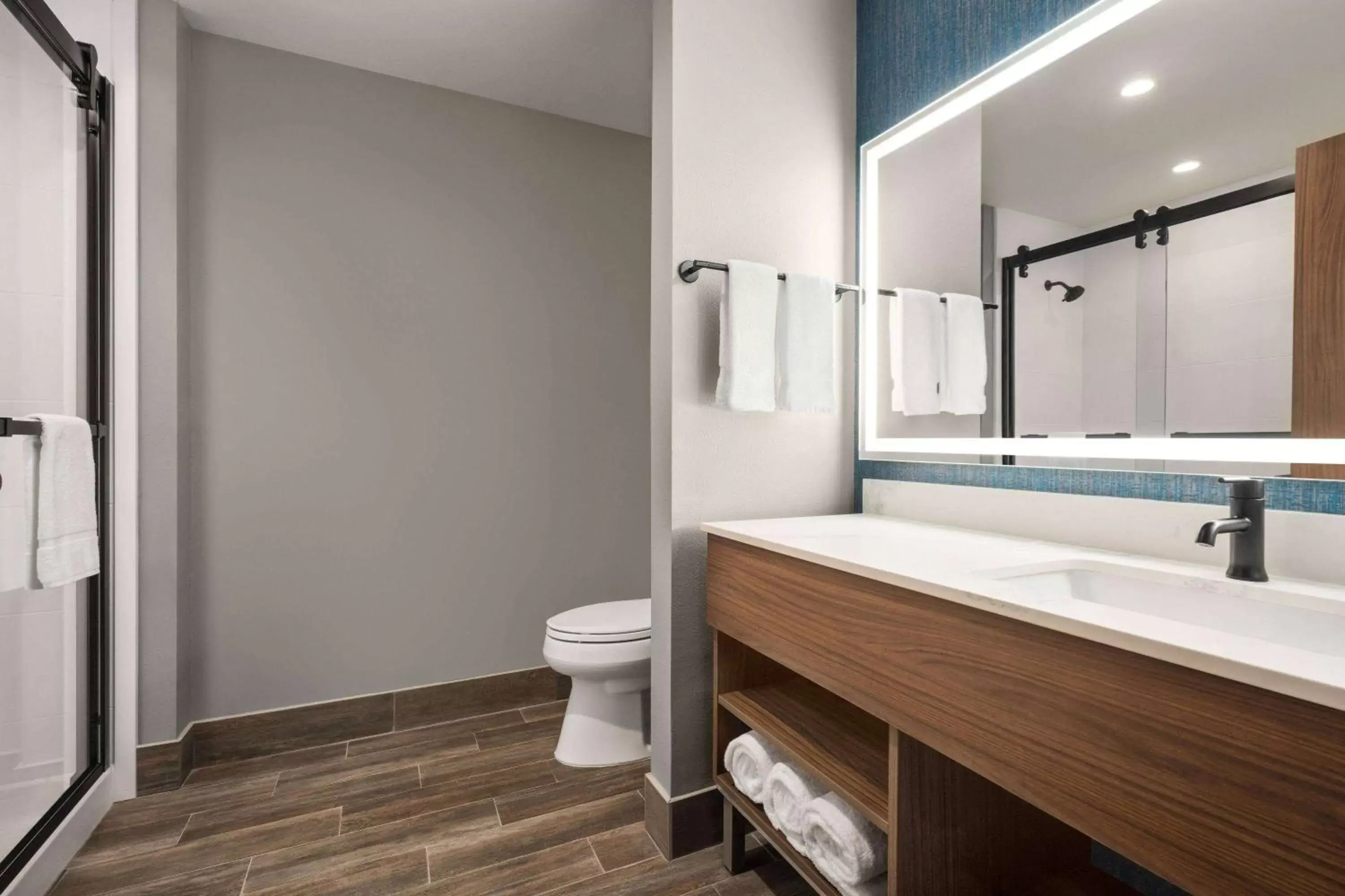 TV and multimedia, Bathroom in La Quinta Inn & Suites by Wyndham Del Rio