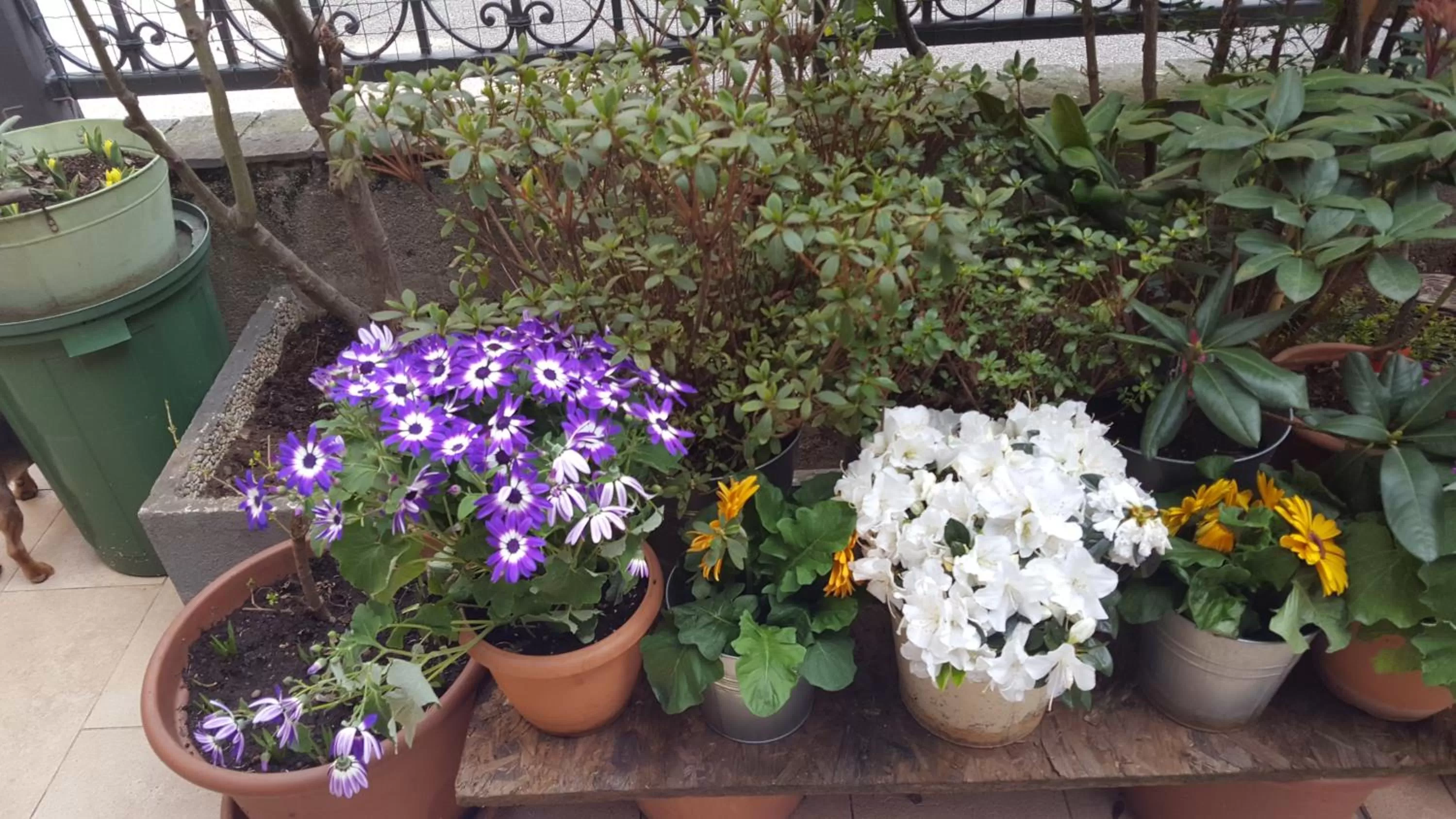 Decorative detail in Monteceneri 9 B&b