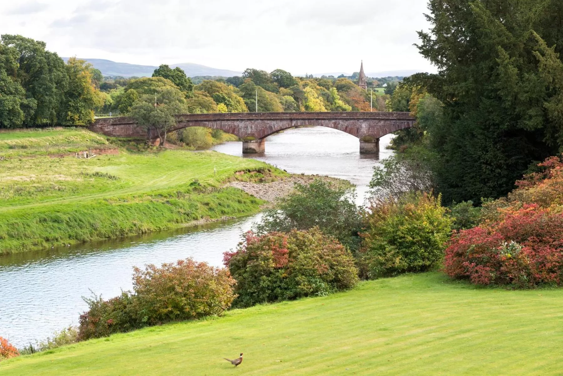 Natural landscape in Warwick Hall