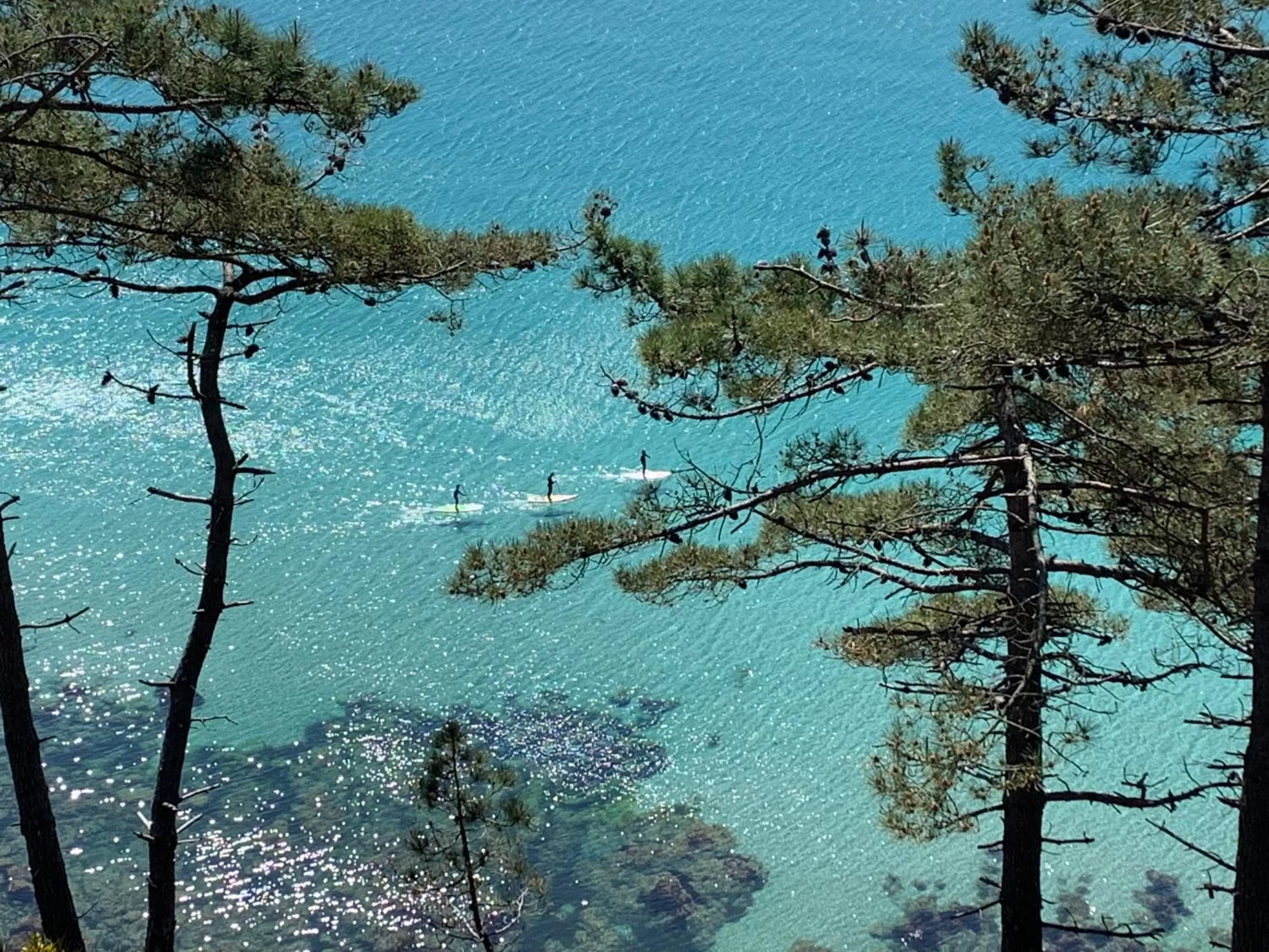 Natural landscape in Hôtel de la Baie
