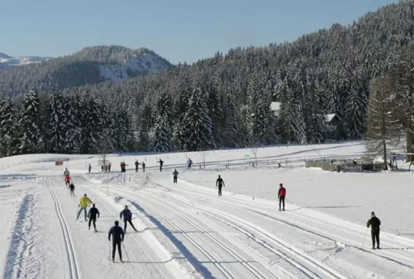 Activities in Bergführerhaus