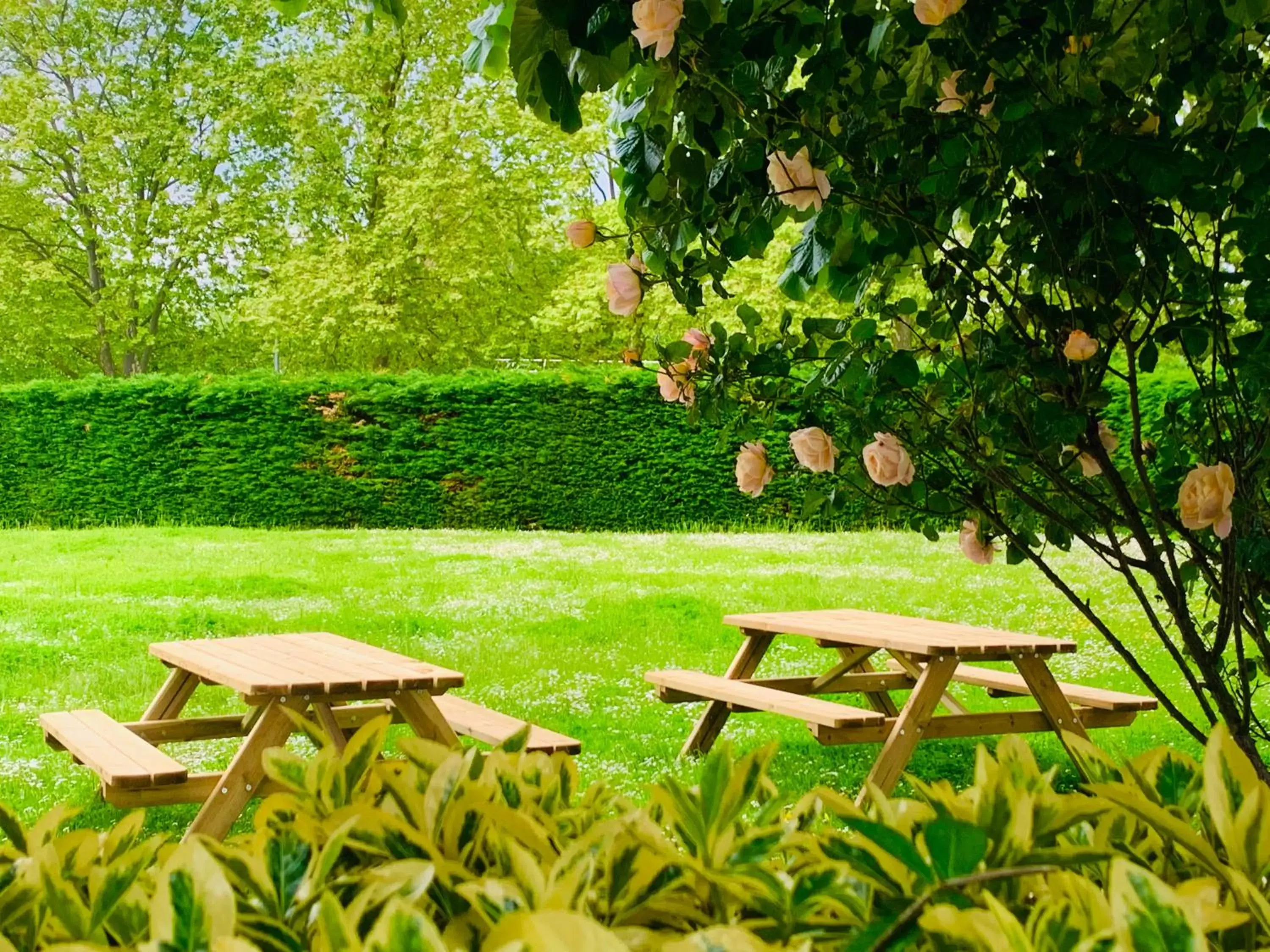 Garden in The Originals Access, Hôtel Innostar