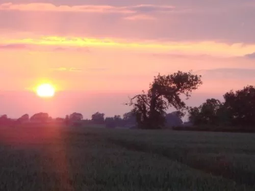 View (from property/room) in The Royal Arms Bed & Breakfast