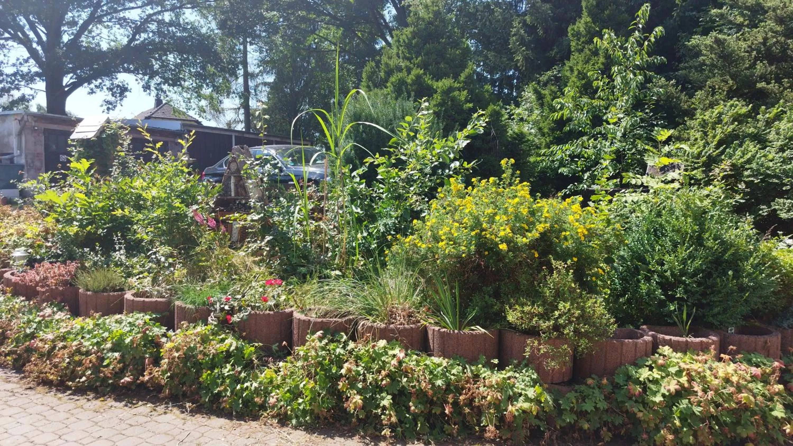 Restaurant/places to eat in Berghotel Steiger - Erzgebirge