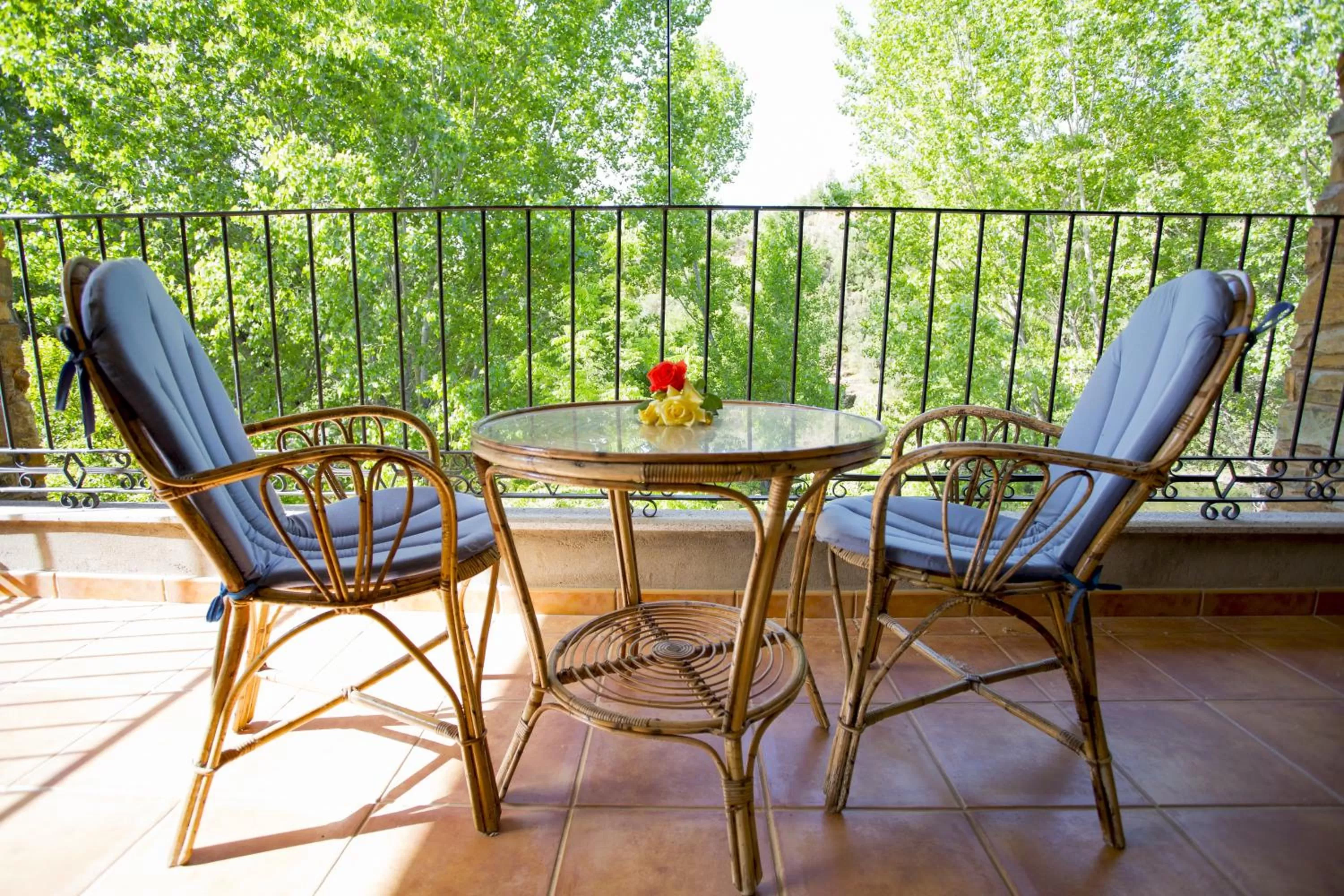 Patio, Balcony/Terrace in Hotel Rural Castúo H CC 656