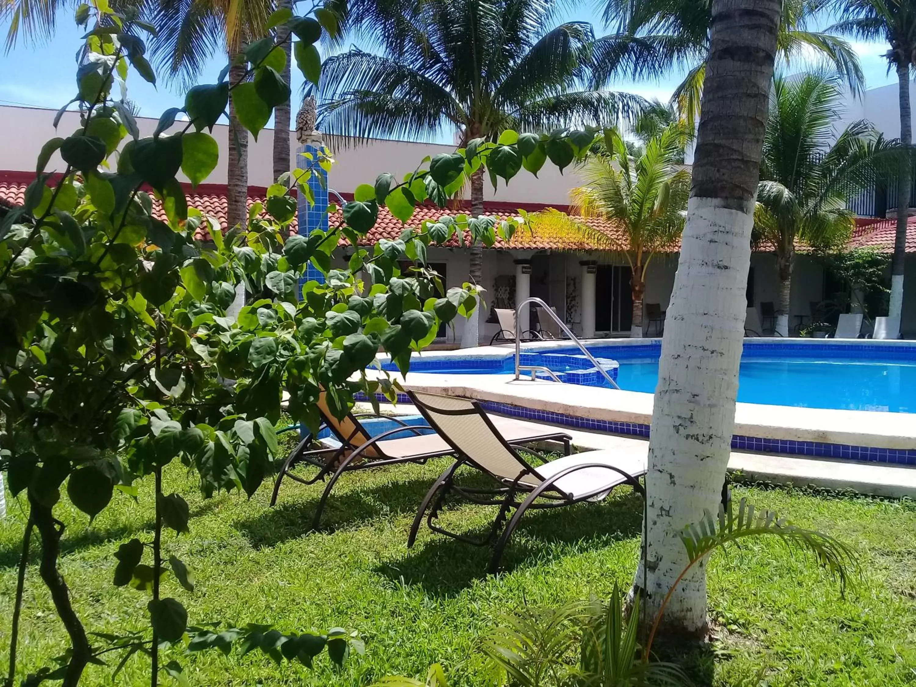 Pool view, Swimming Pool in Hotel Plaza Almendros