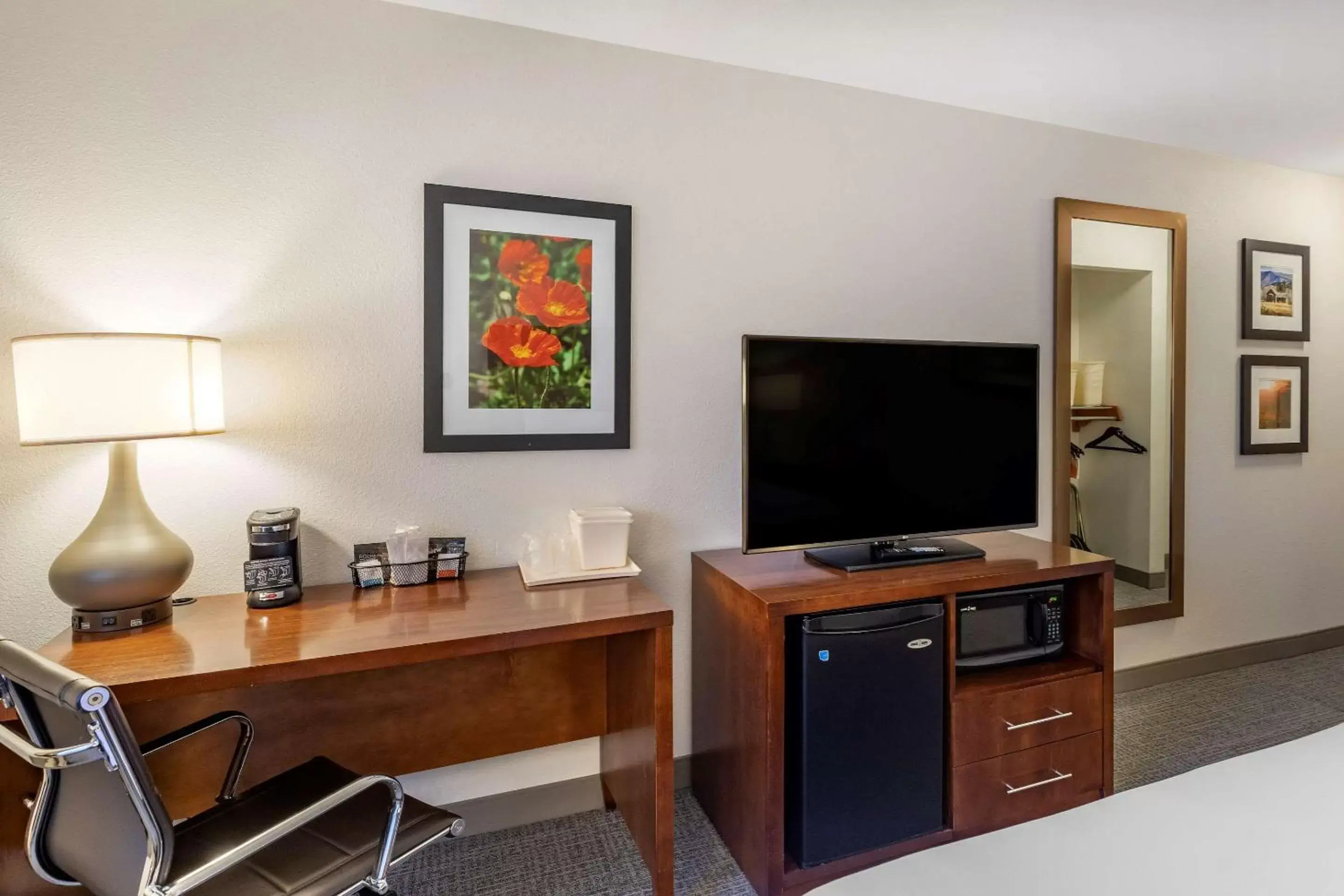 Photo of the whole room, TV/Entertainment Center in Comfort Inn & Suites Carbondale