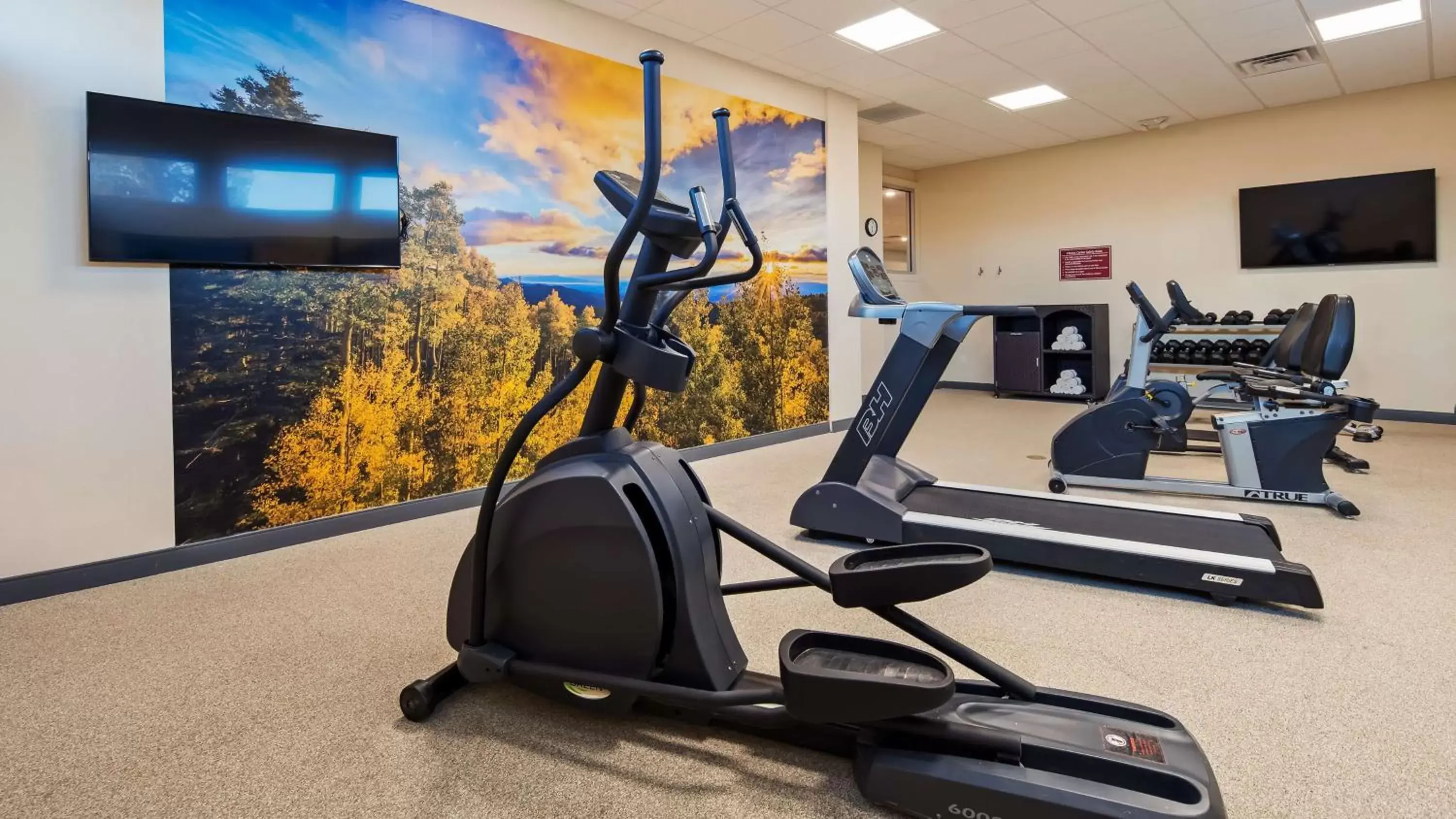 Fitness centre/facilities, Fitness Center/Facilities in Best Western Plus Portales Inn