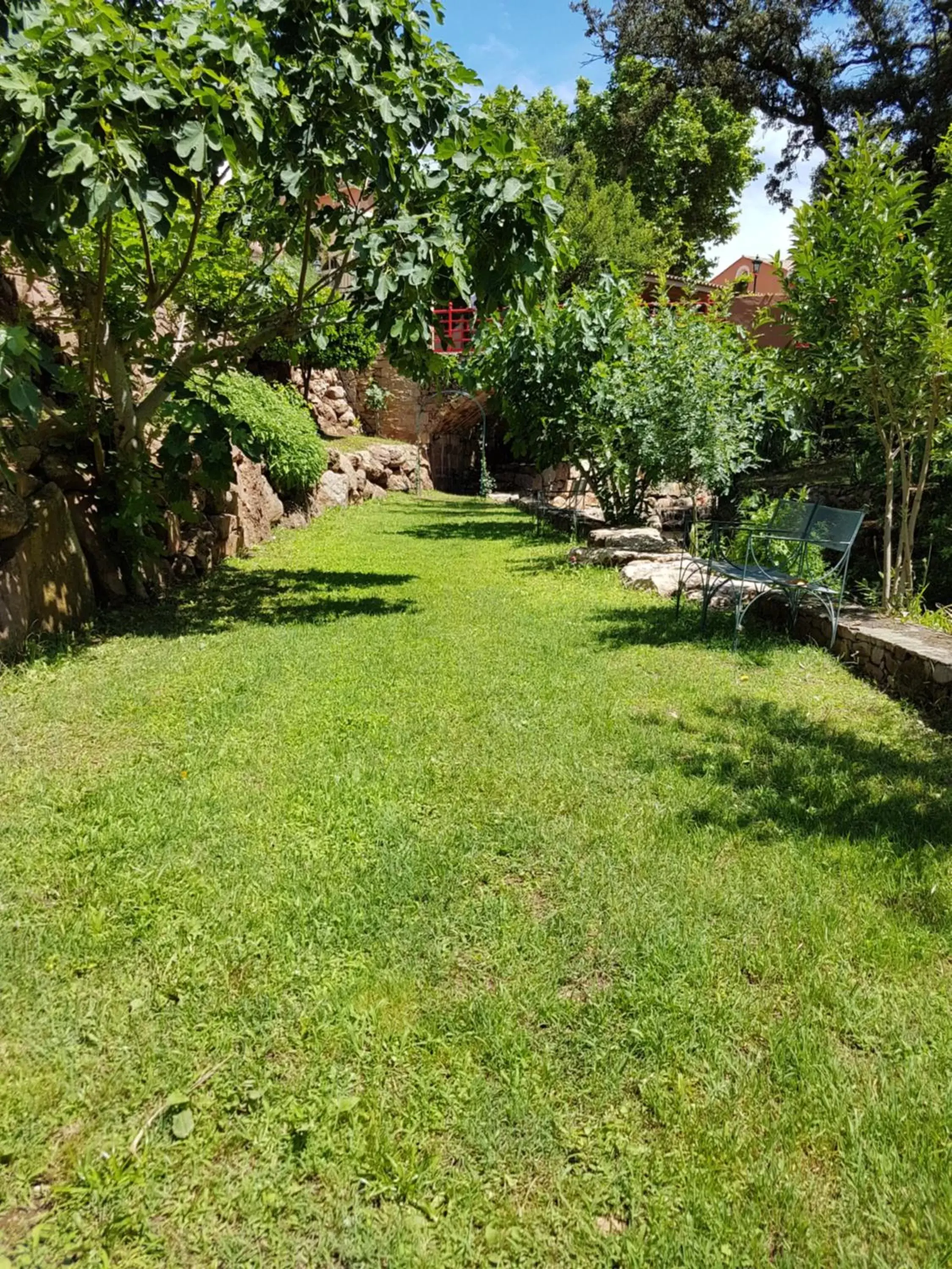 Garden in Le Mas du Lingousto