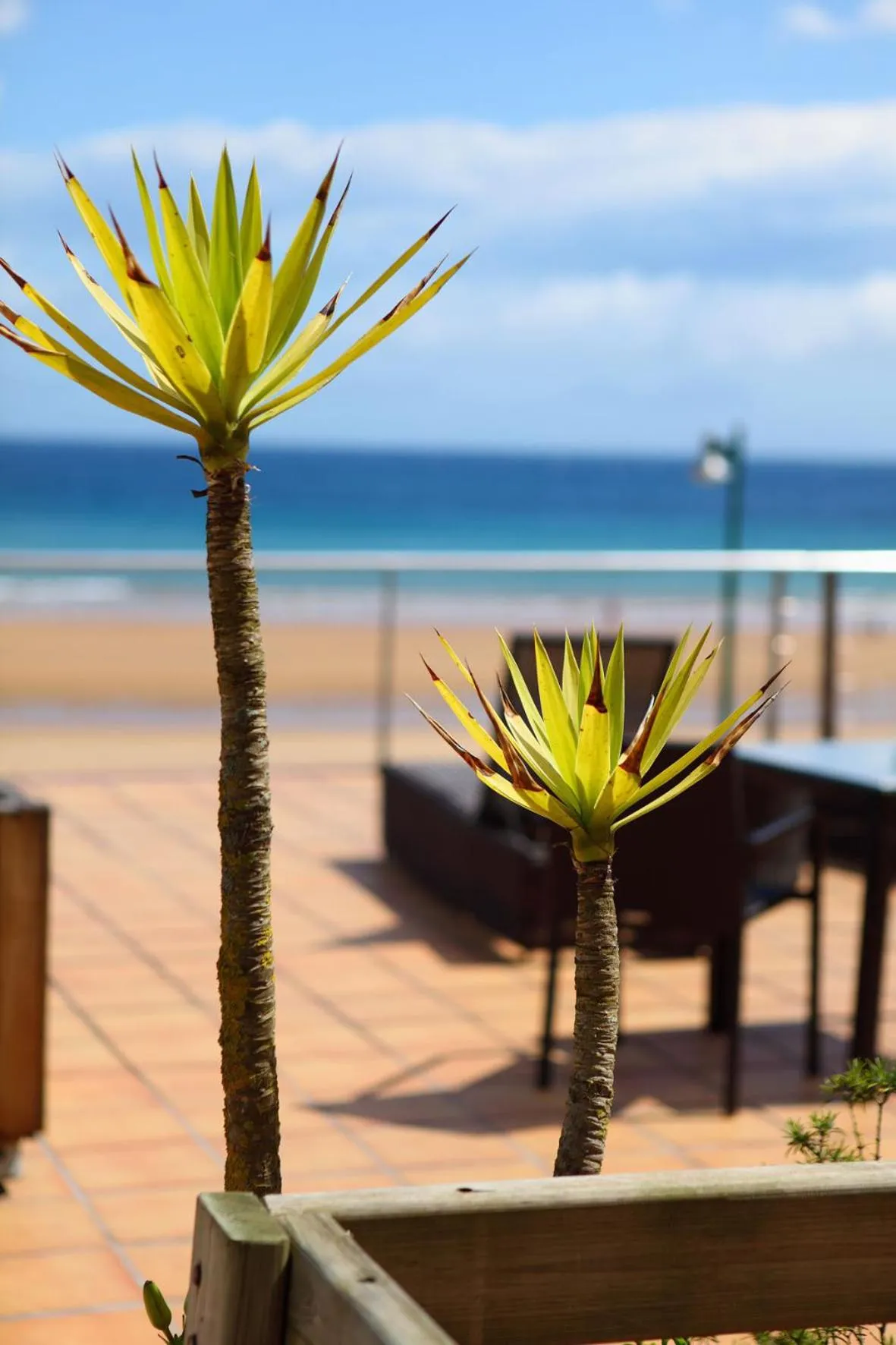 Other in Hotel Metrokua