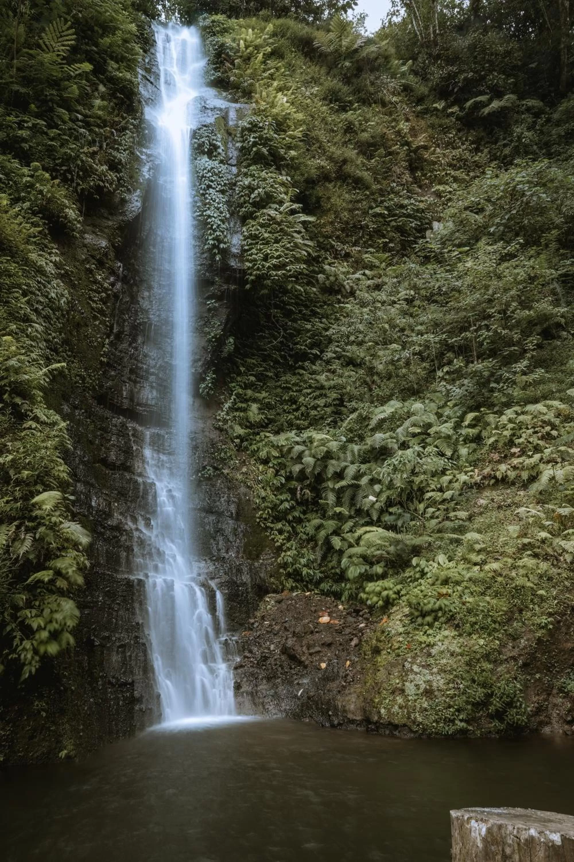 Natural landscape in Gumi Ayu EcoStay