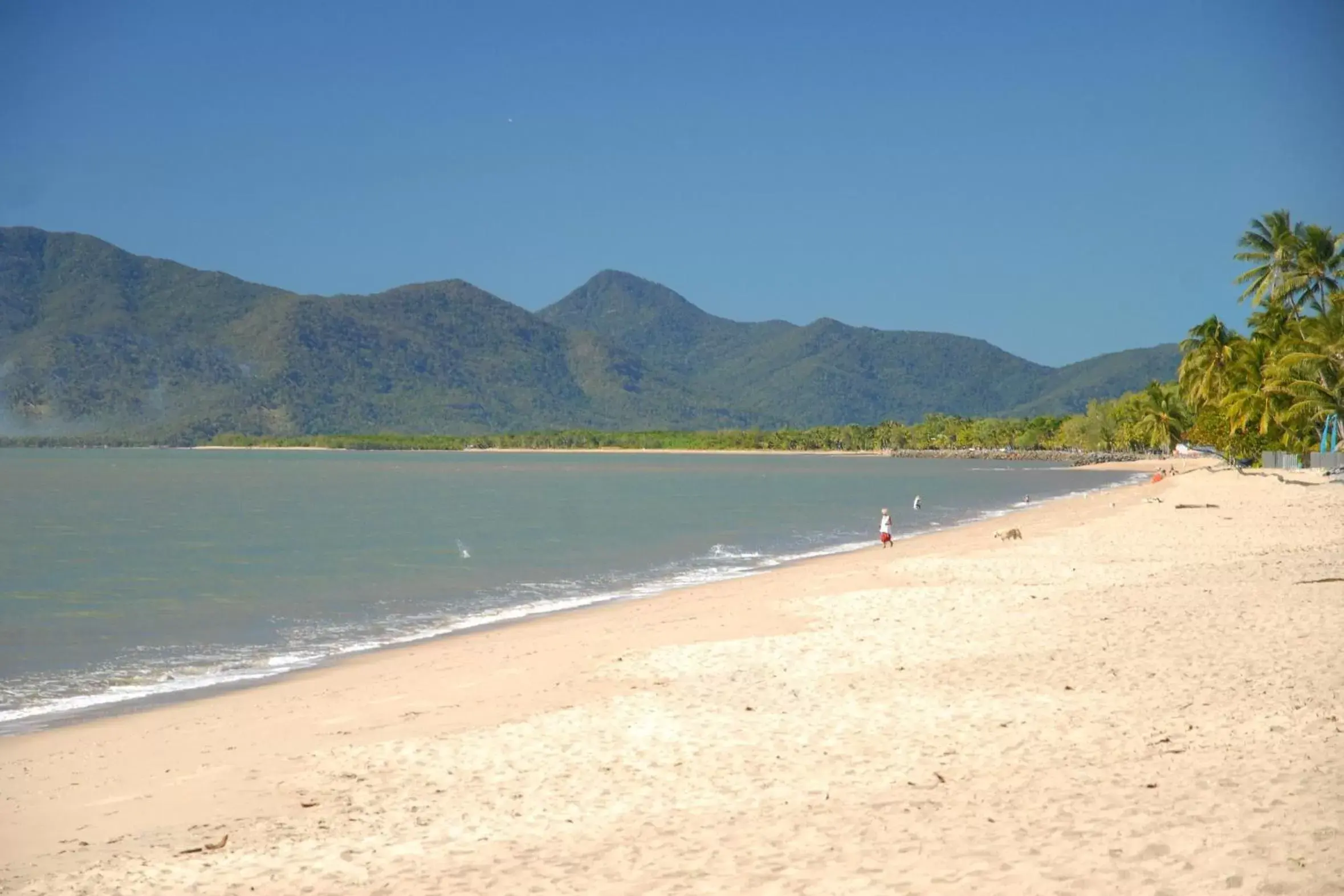 Beach in Cairns Beach Resort