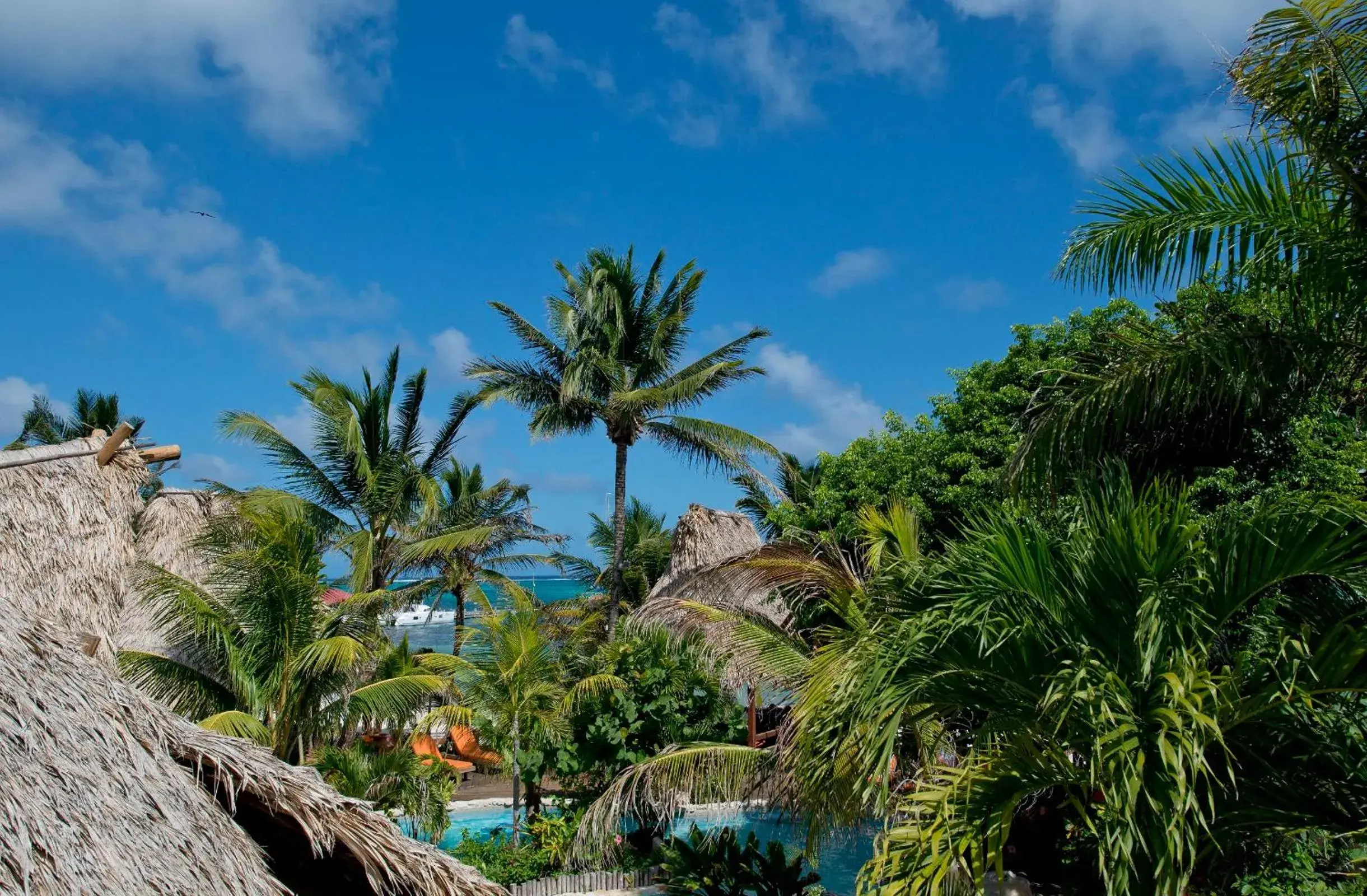 Bird's eye view in Ramon's Village Resort