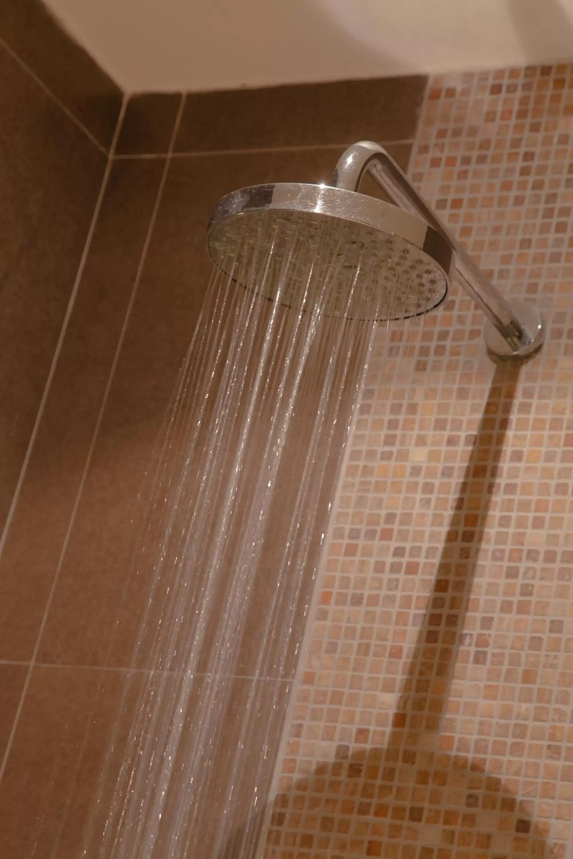 Shower, Bathroom in Ocean Villas Hotel