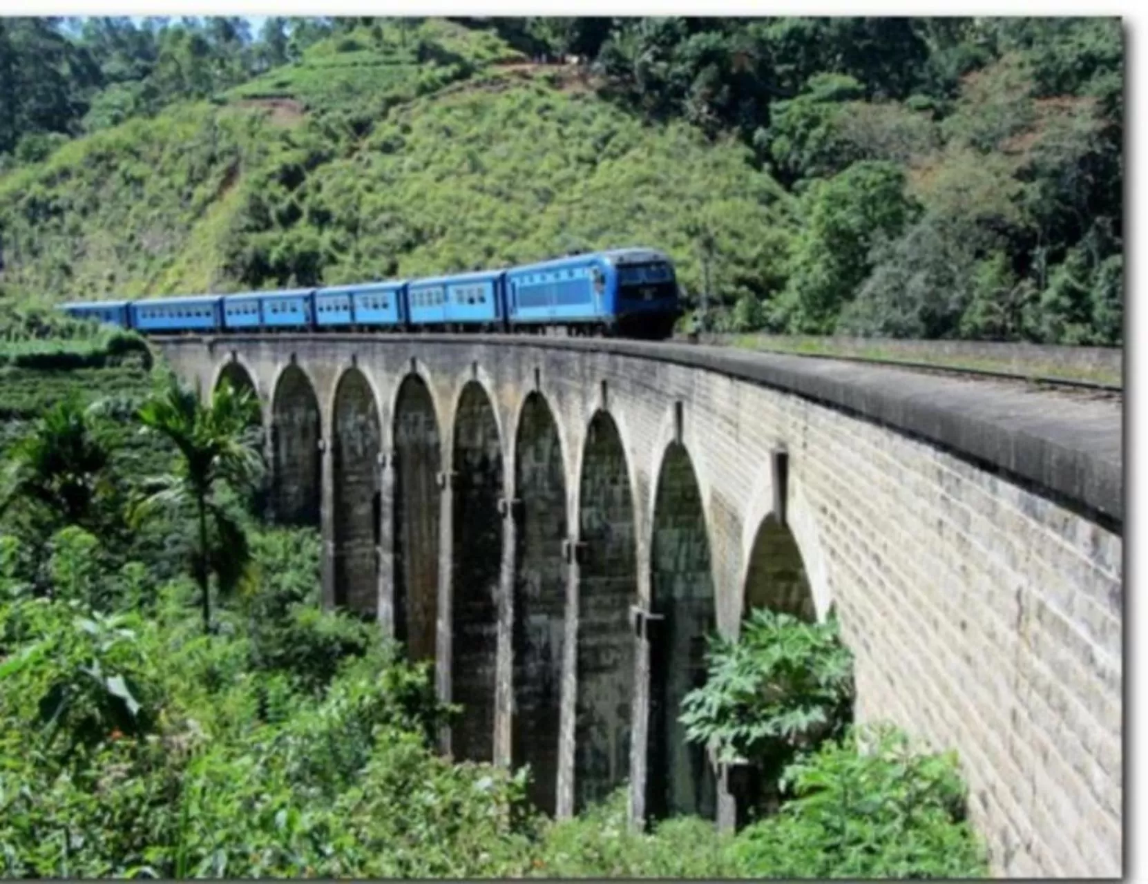 Nearby landmark, Property Building in Jungle Face Inn