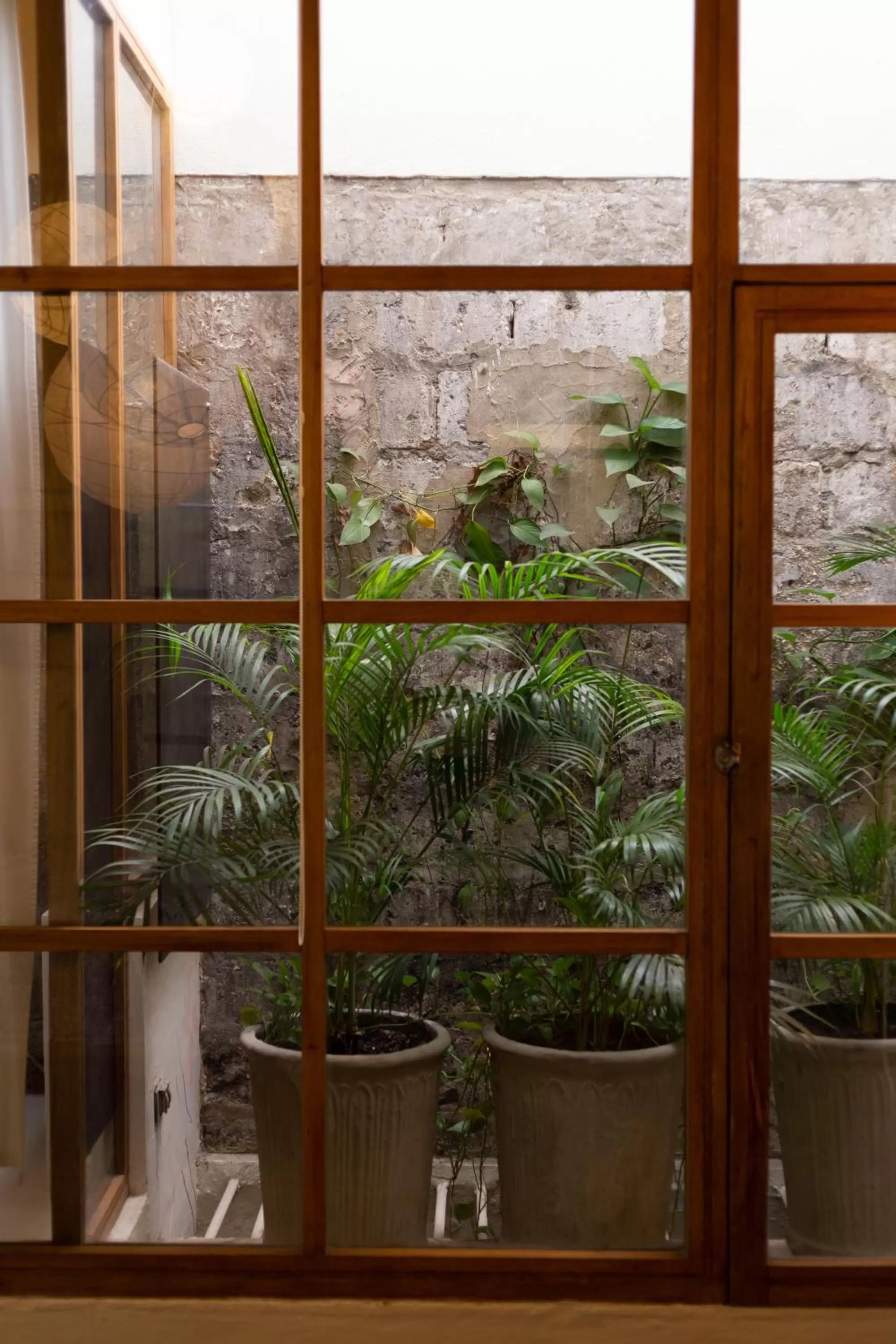 Balcony/Terrace in Hotel Casa Lola Deluxe Gallery