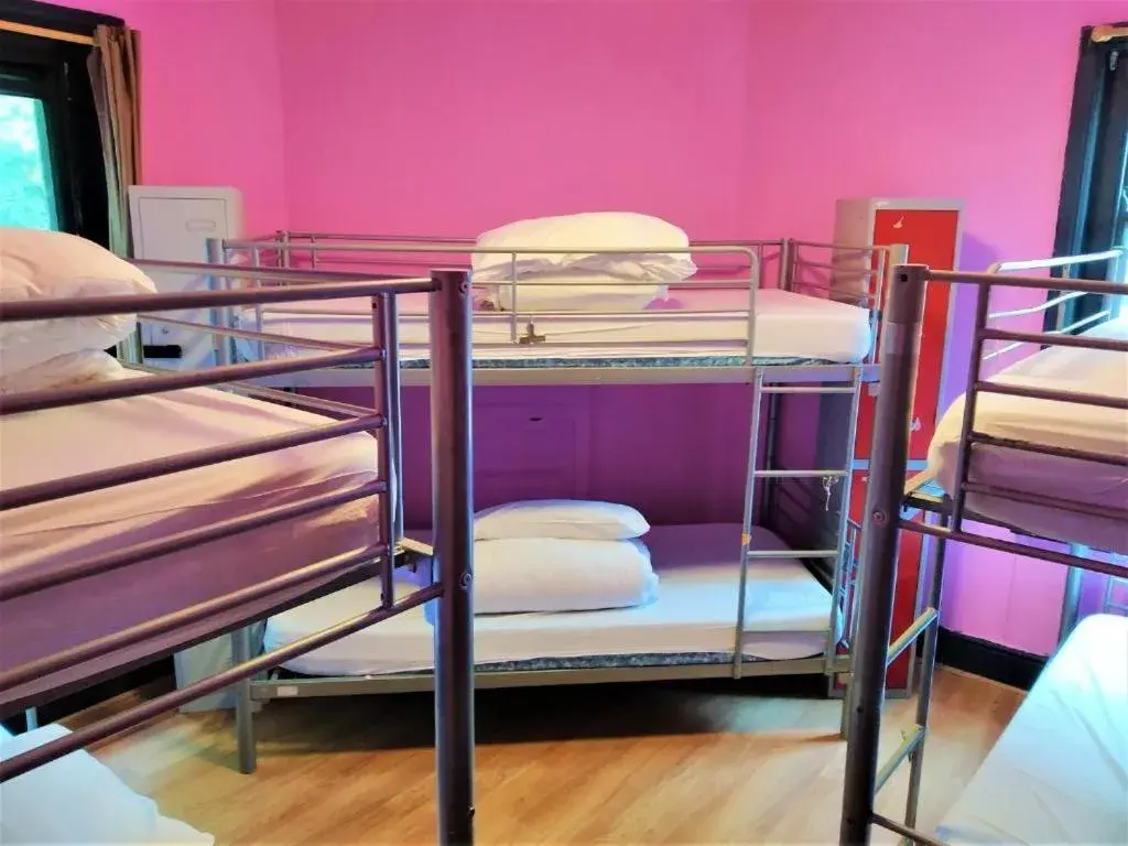 Bunk Bed in The Phoenix Hostel