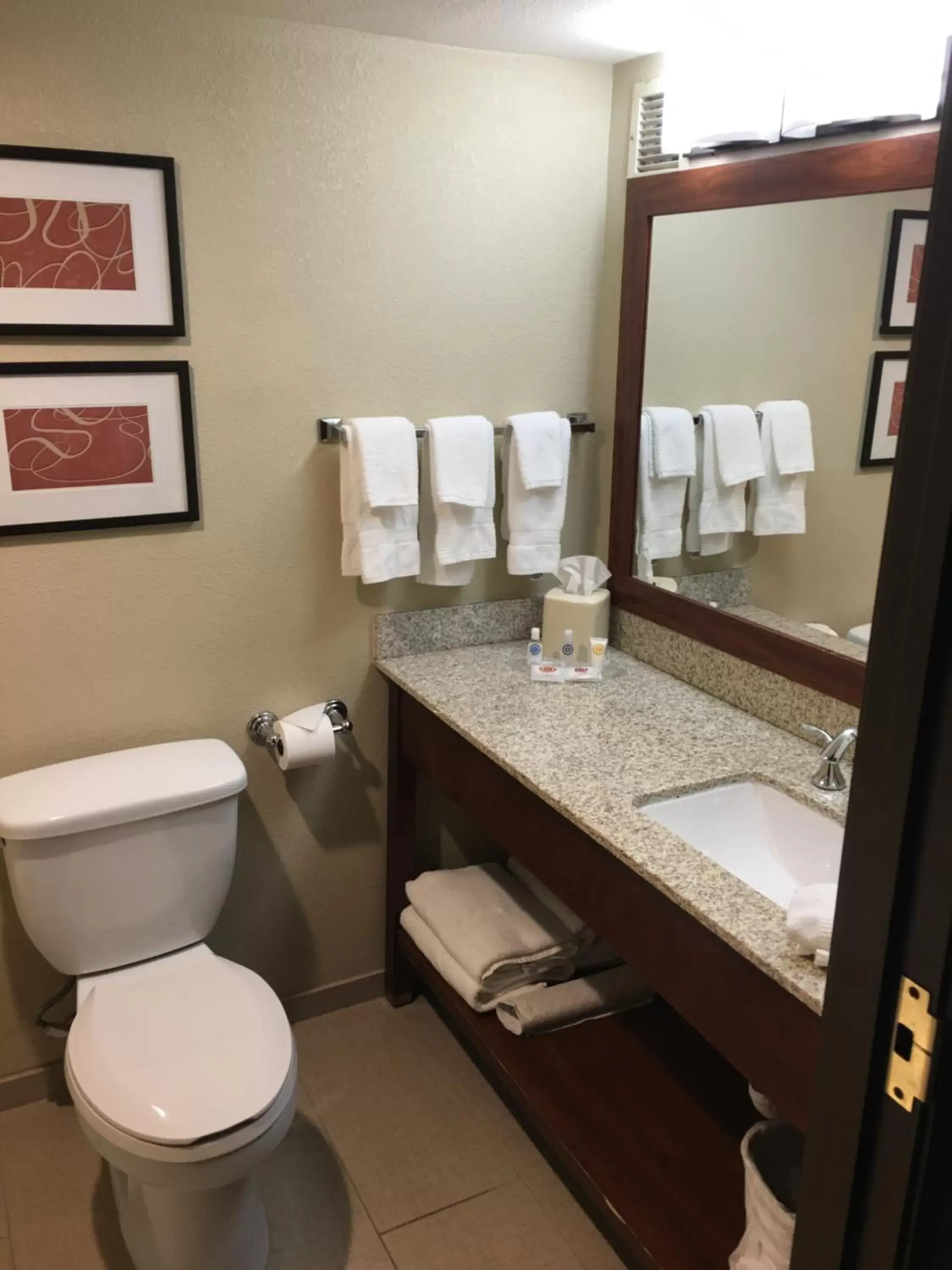 One-Bedroom King Suite in Comfort Suites Near Potomac Mills