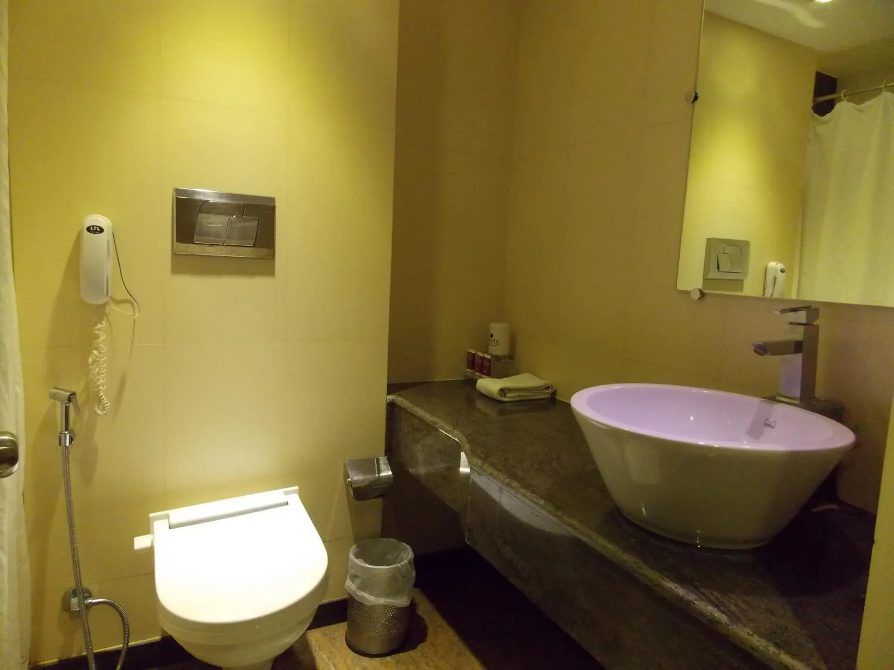 Bathroom in Lords Plaza Surat