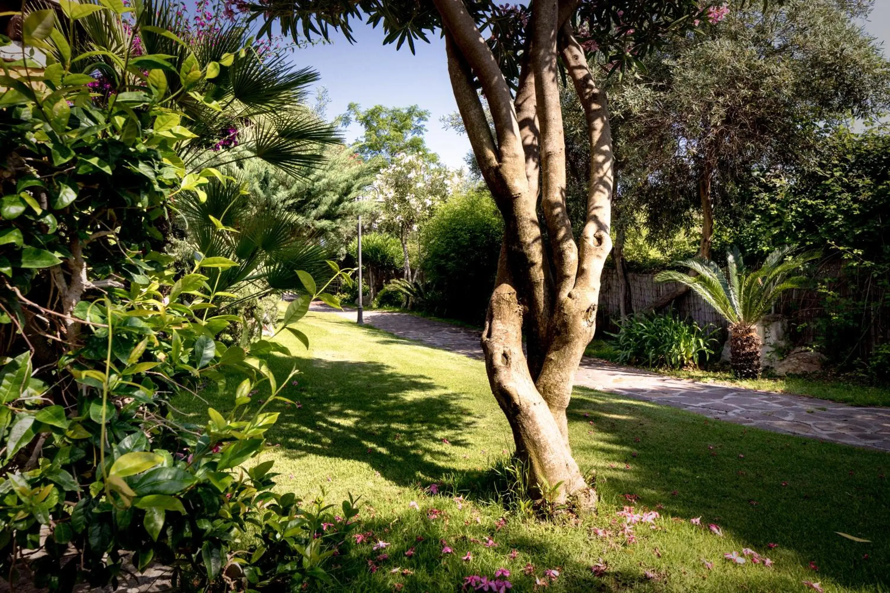 Garden in Cruccùris Resort