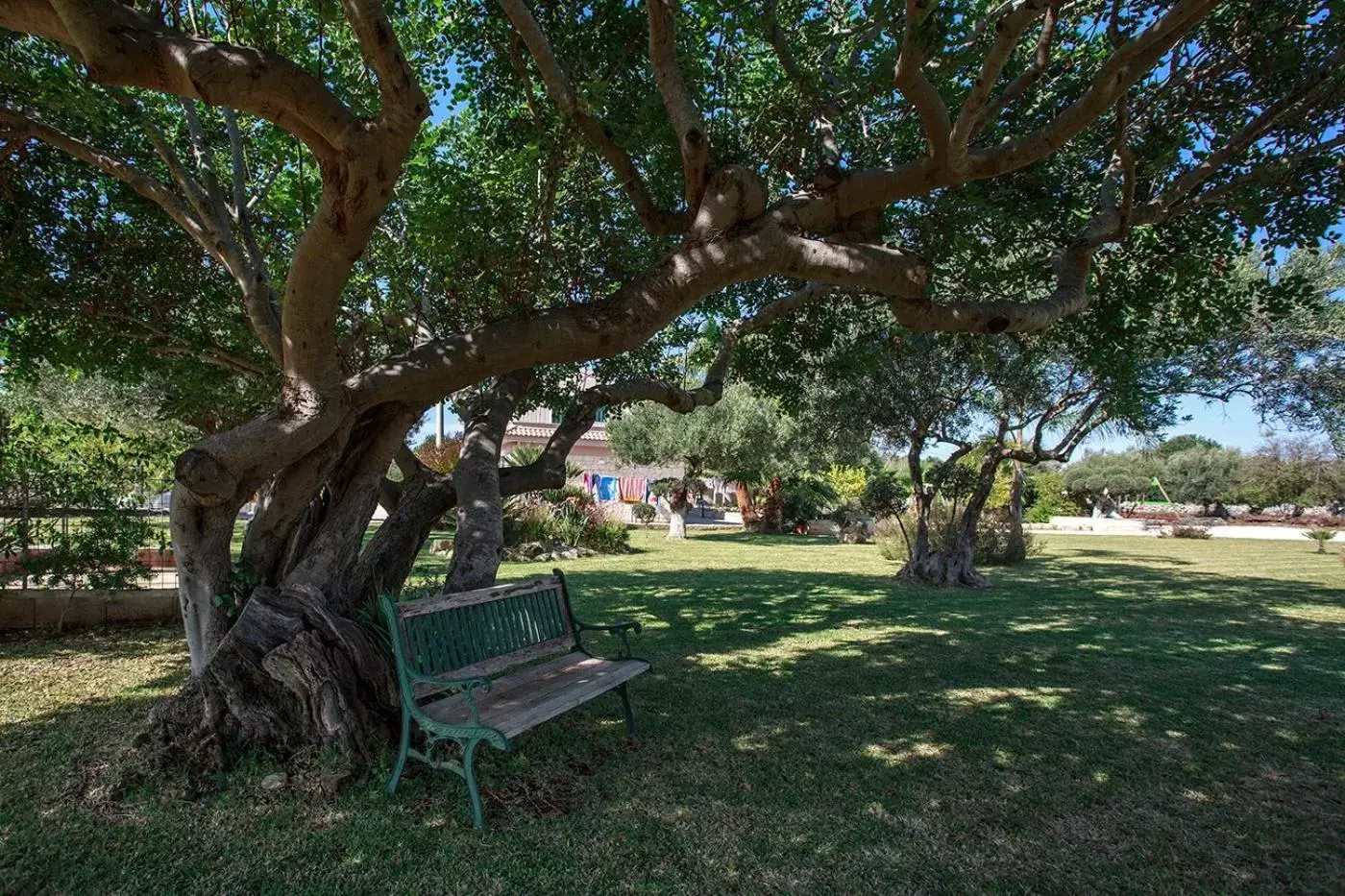 Patio, Garden in Barokhouse